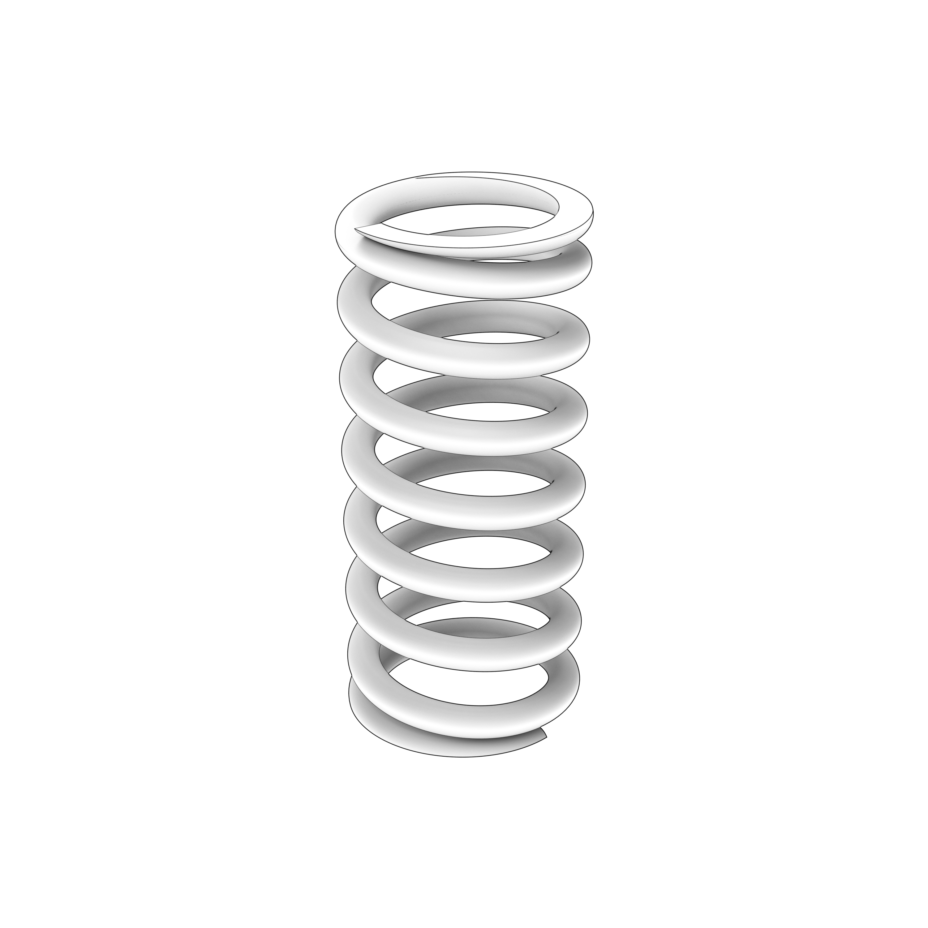 valve spring