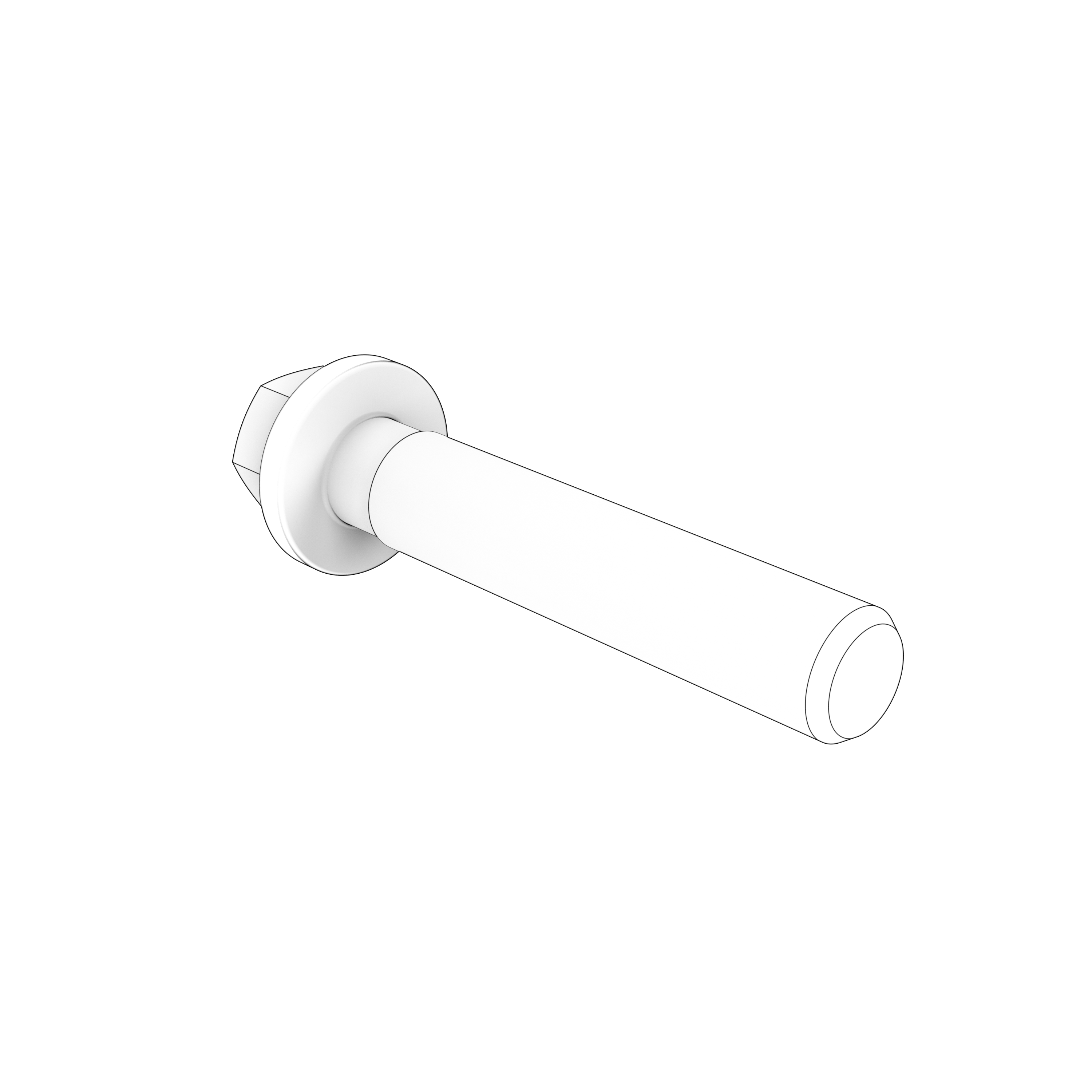 FLANGE SCREW