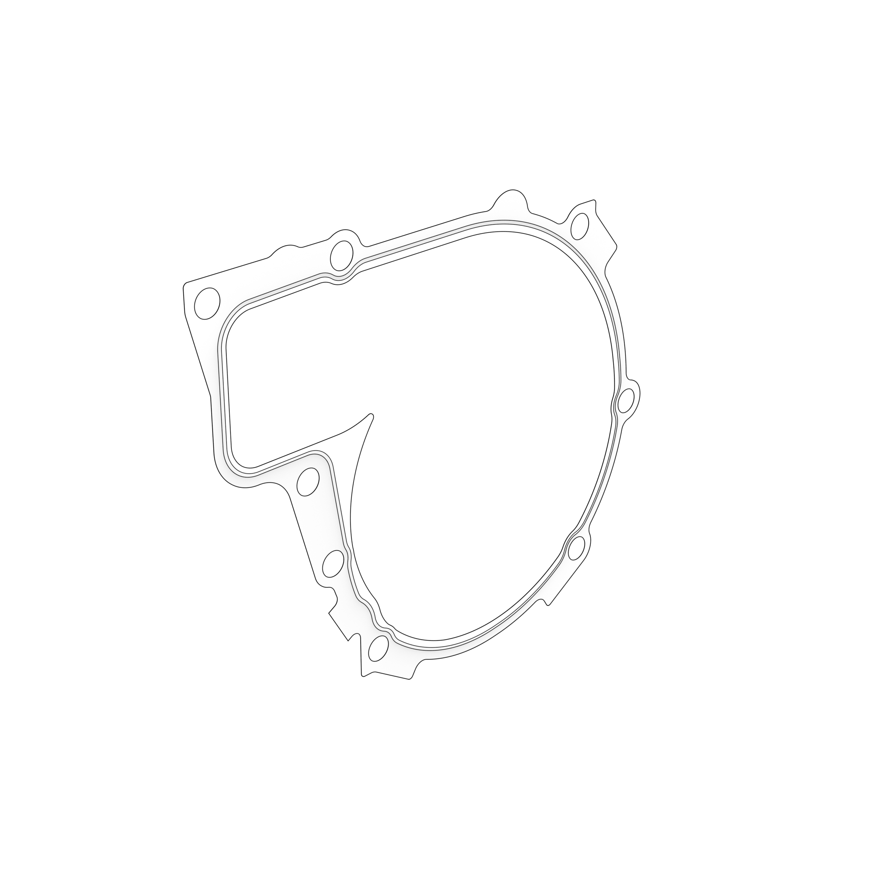PLANE GASKET PLANE GASKET