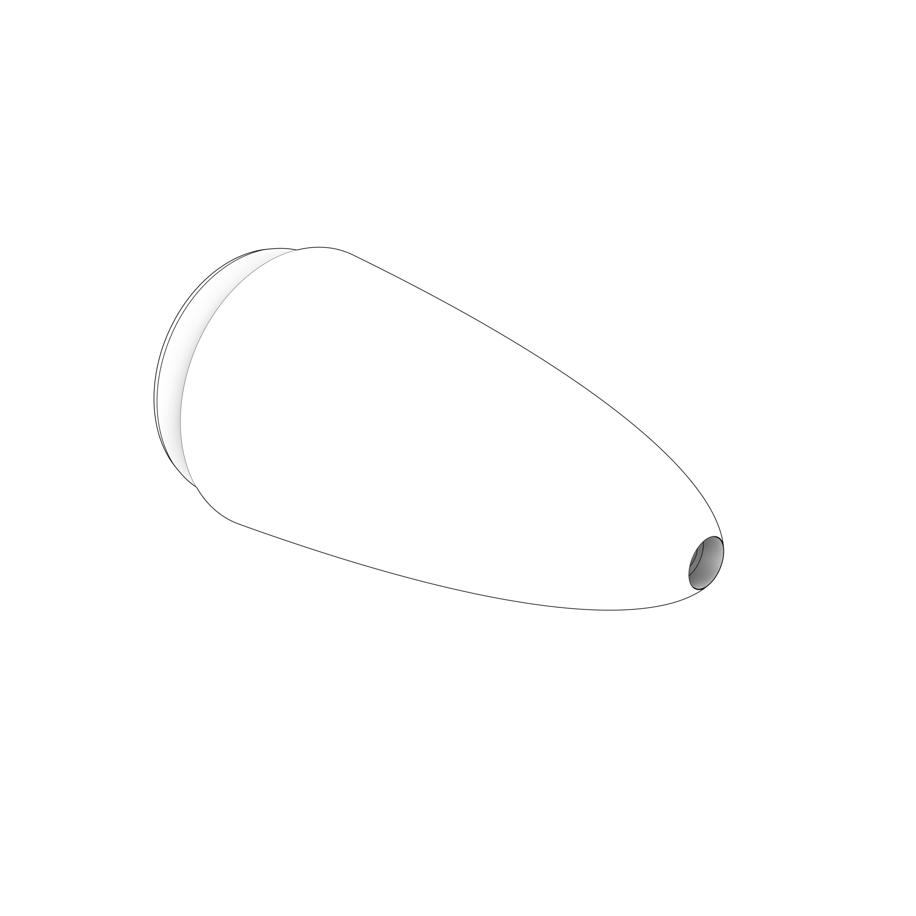 21815881