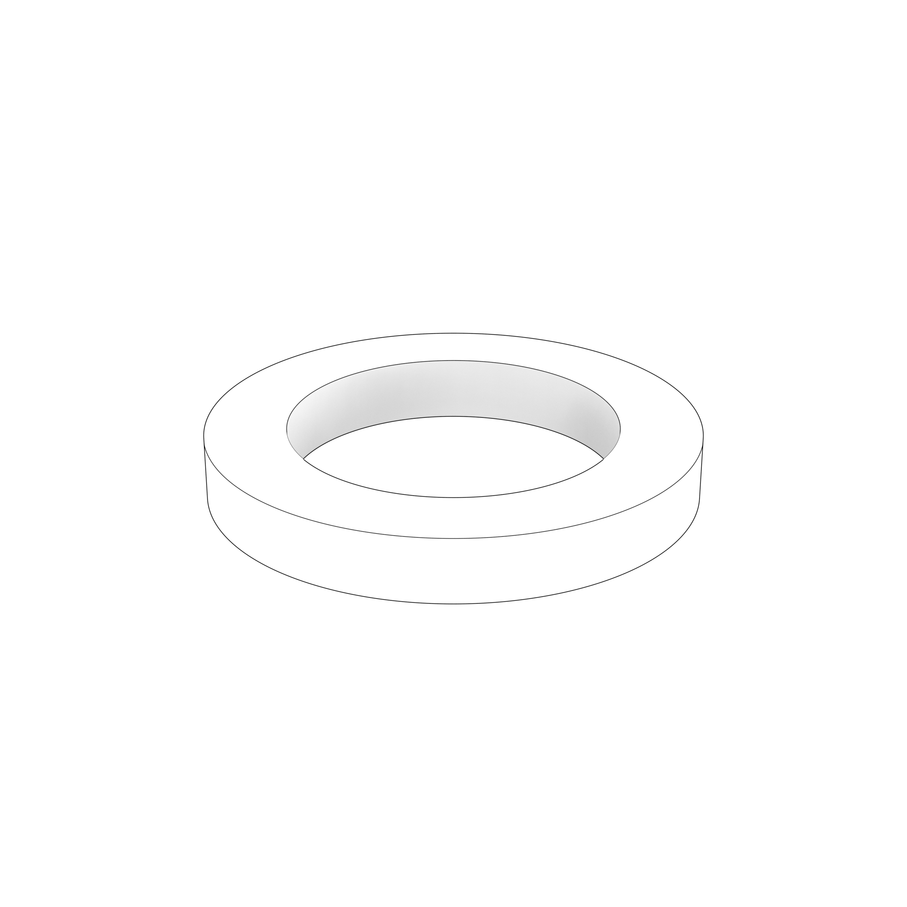 LOCK WASHER