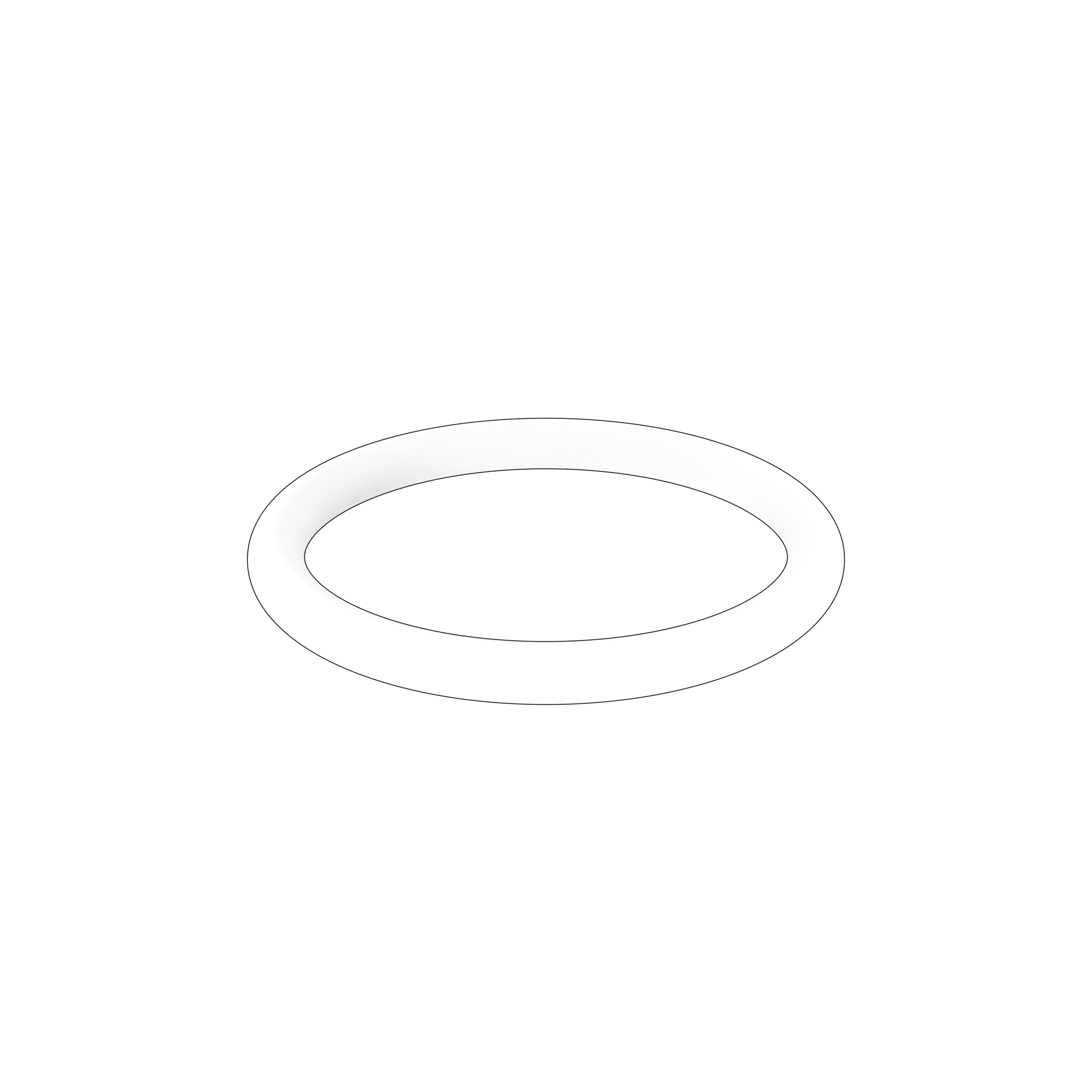 O-ring