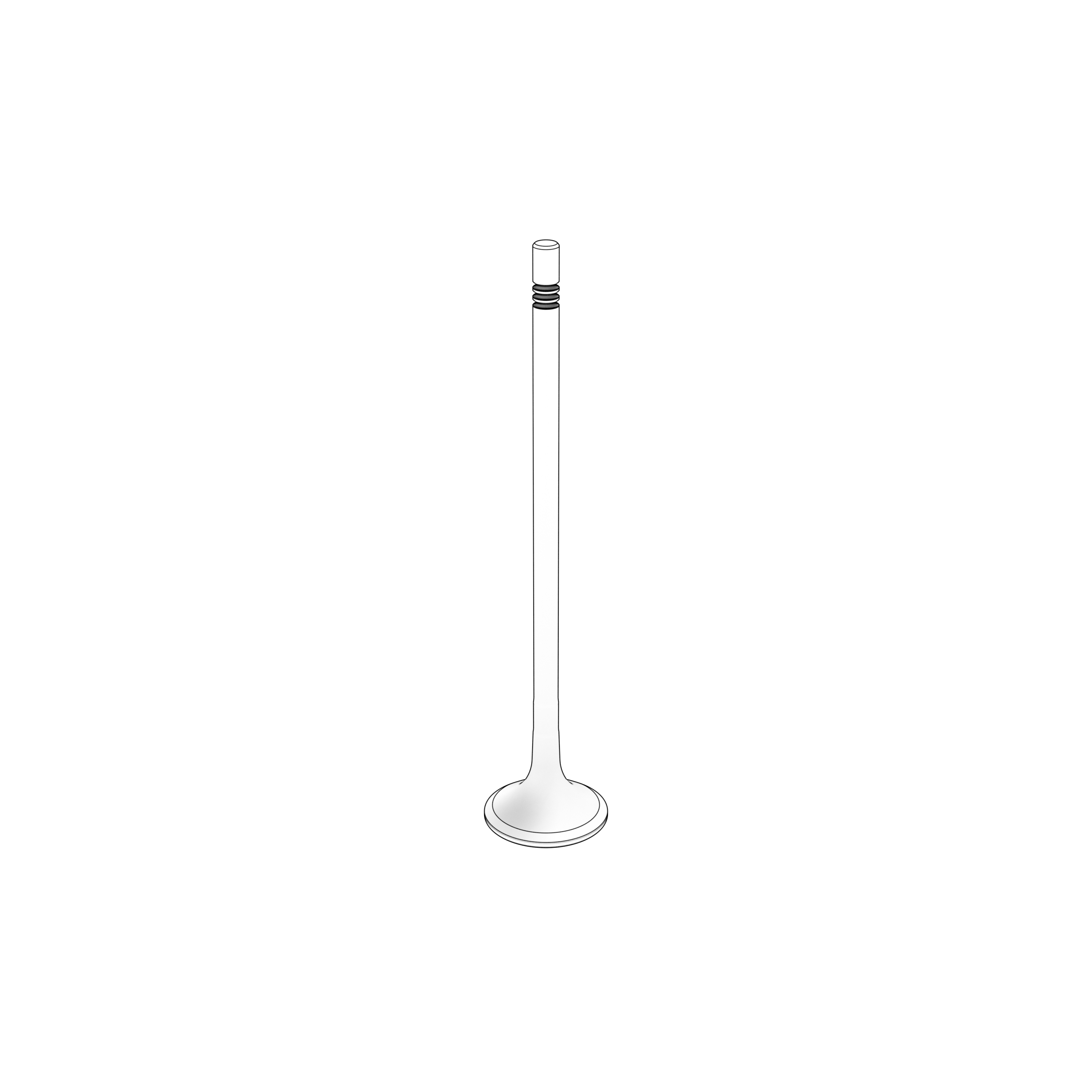 EXHAUST VALVE