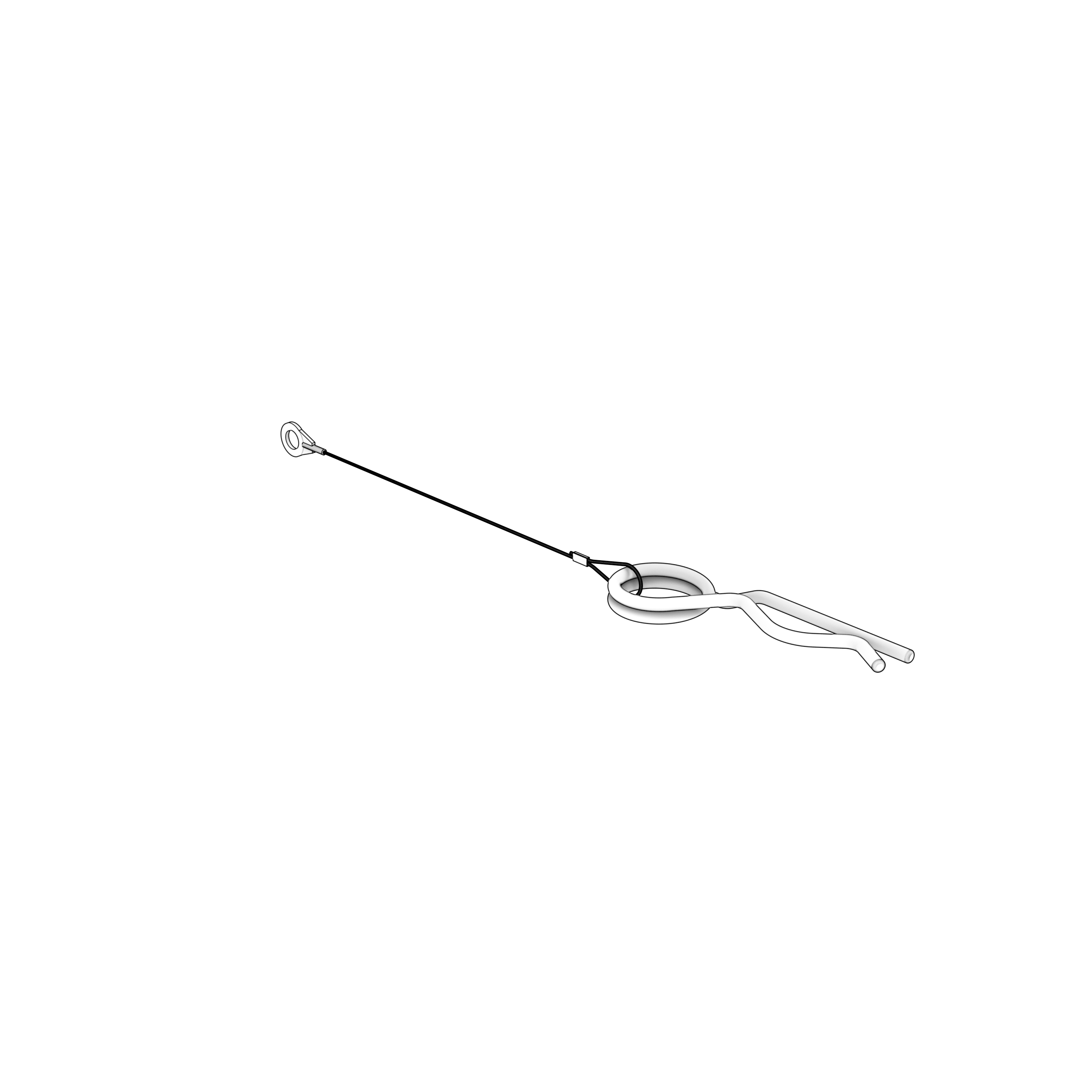 PIN