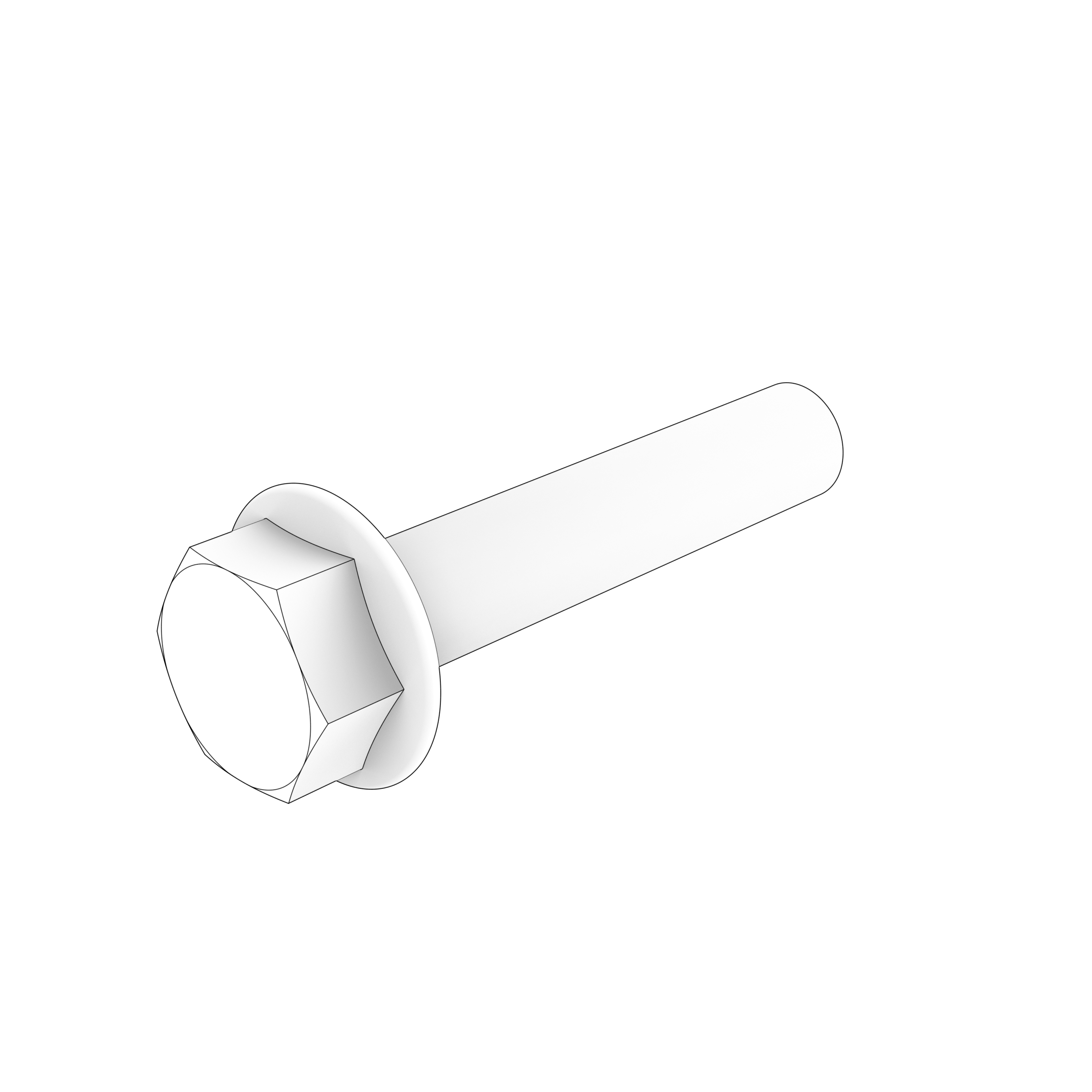 FLANGE SCREW