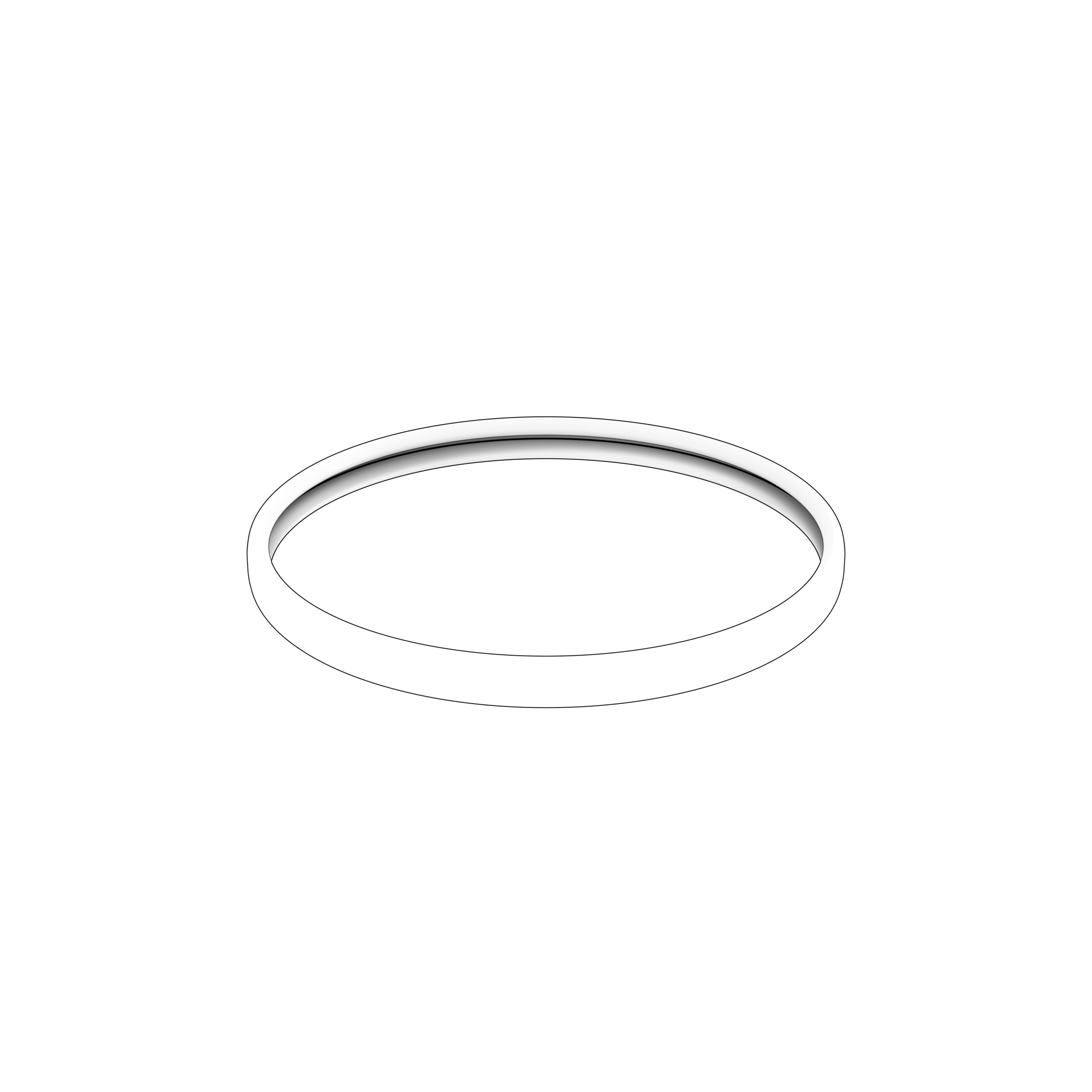 SEALING RING SEALING RING