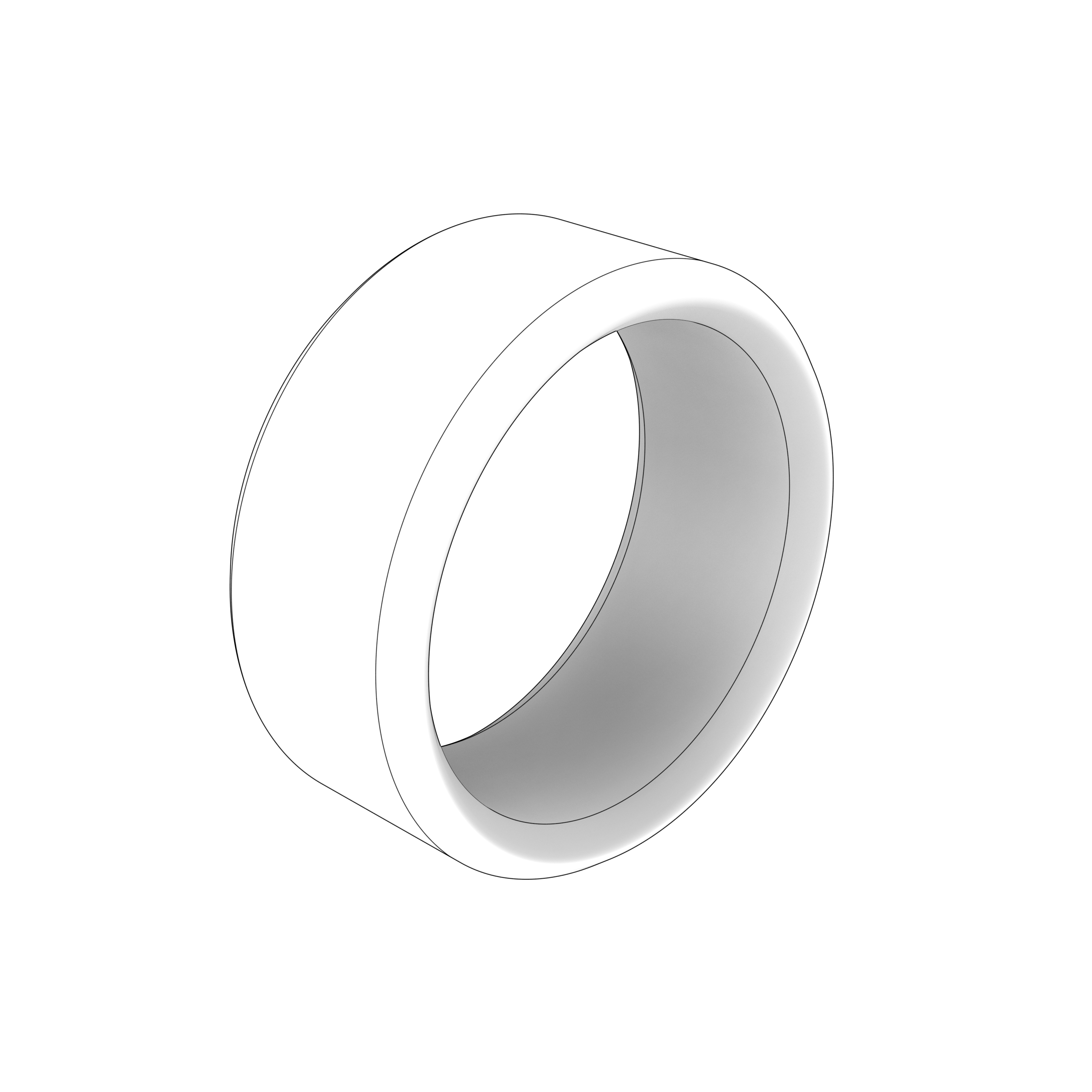 SEALING RING SEALING RING