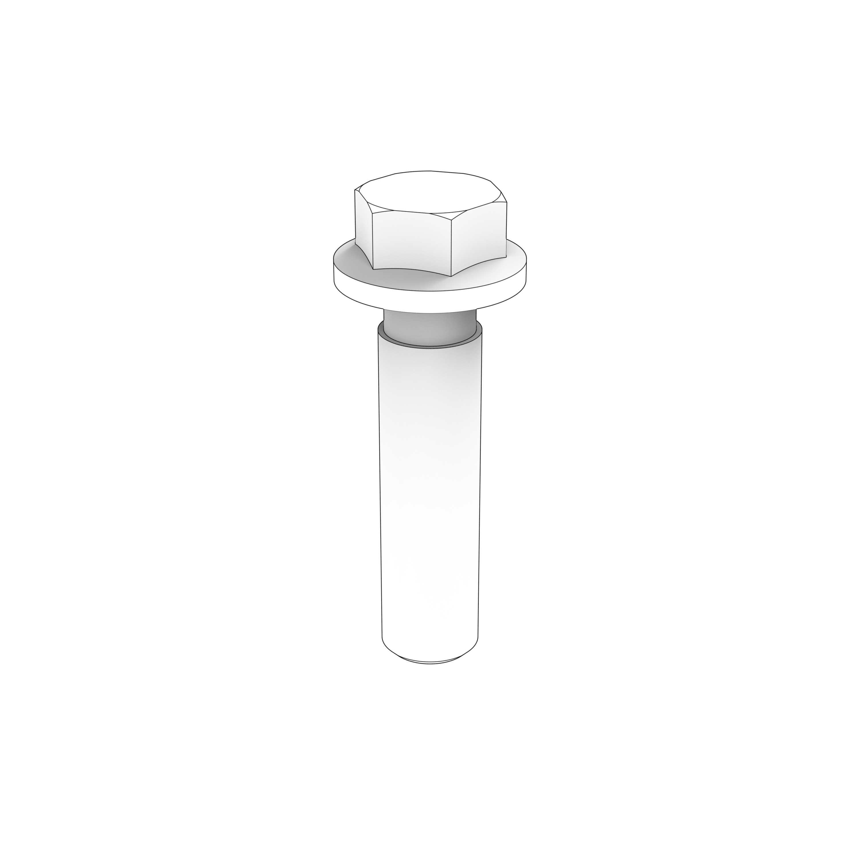 FLANGE SCREW
