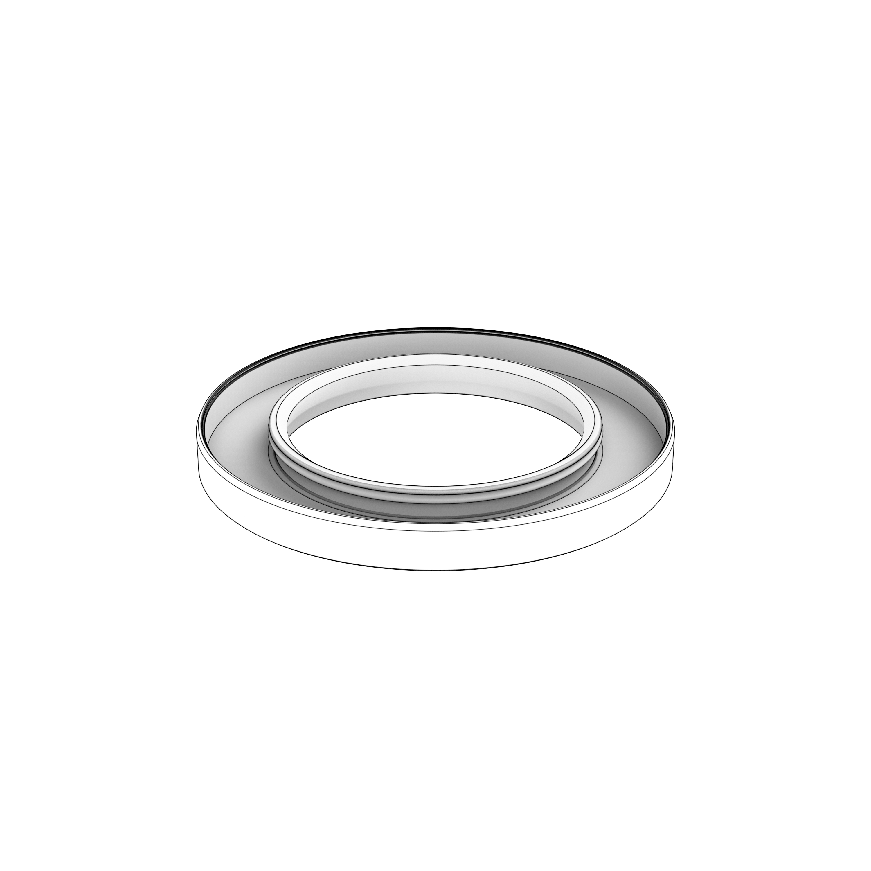 SEALING RING SEALING RING