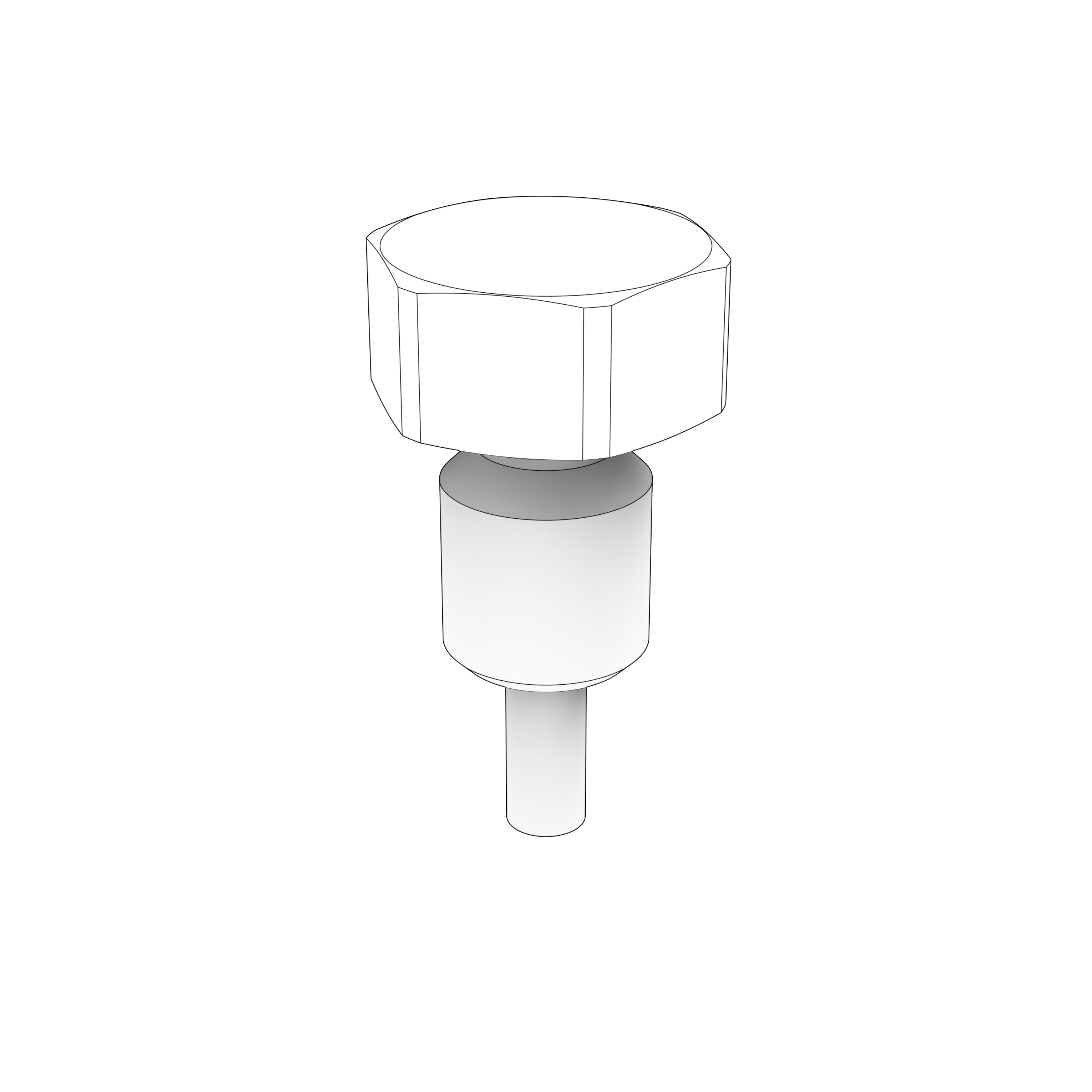 MAGNETIC PLUG