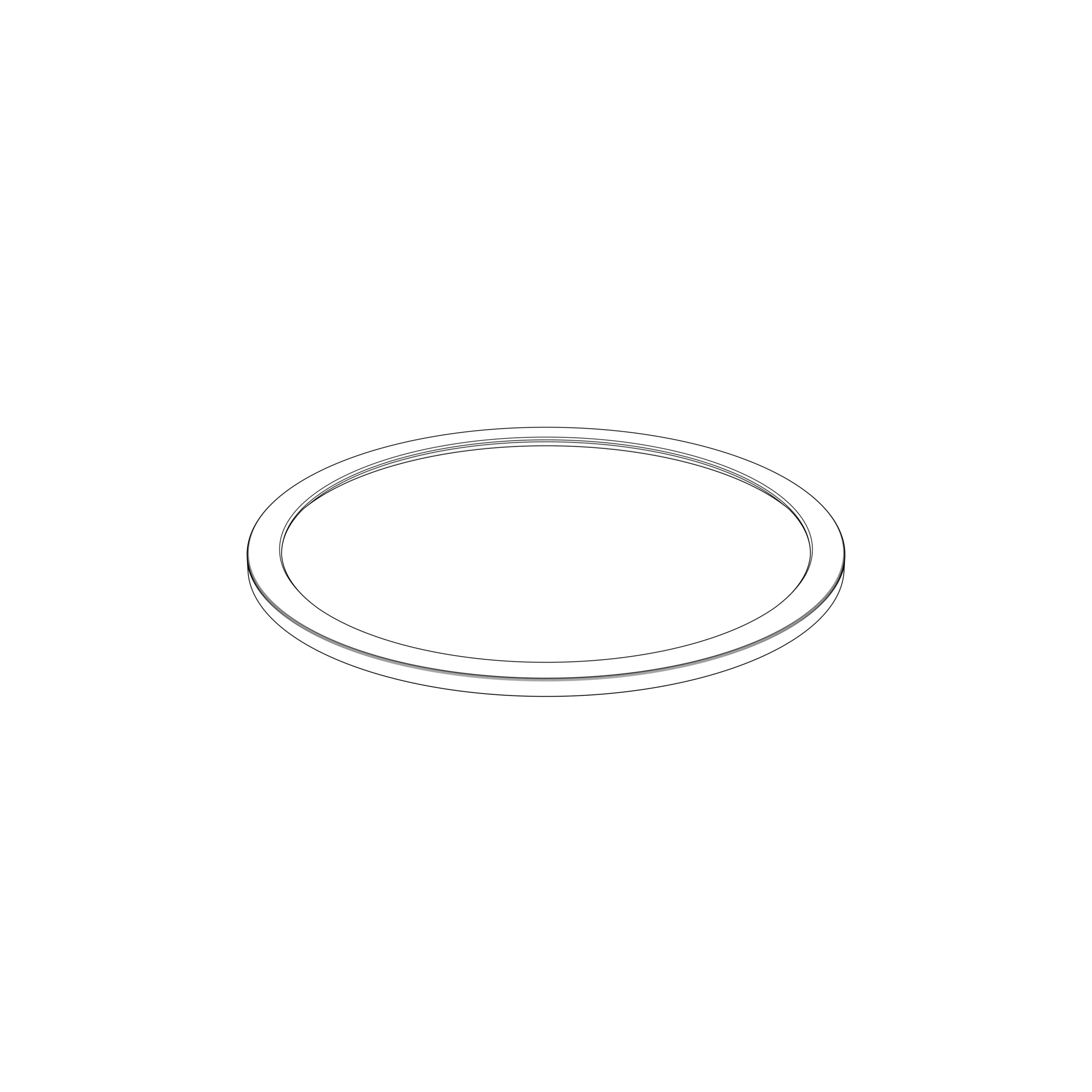 SEALING RING SEALING RING