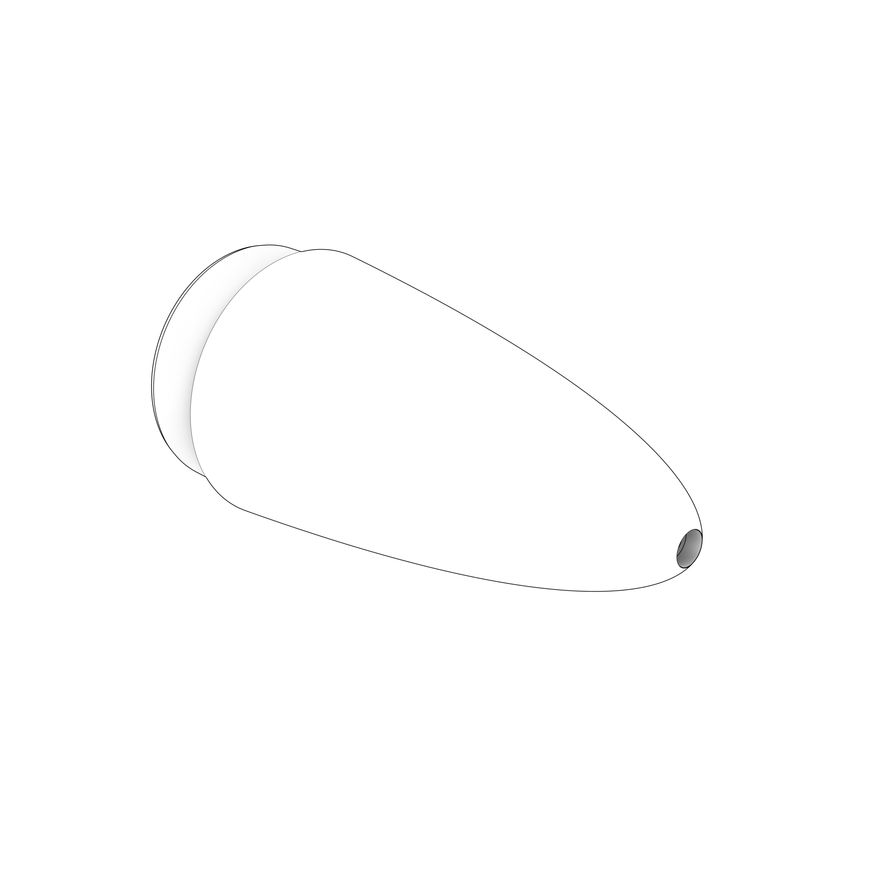 40005165
