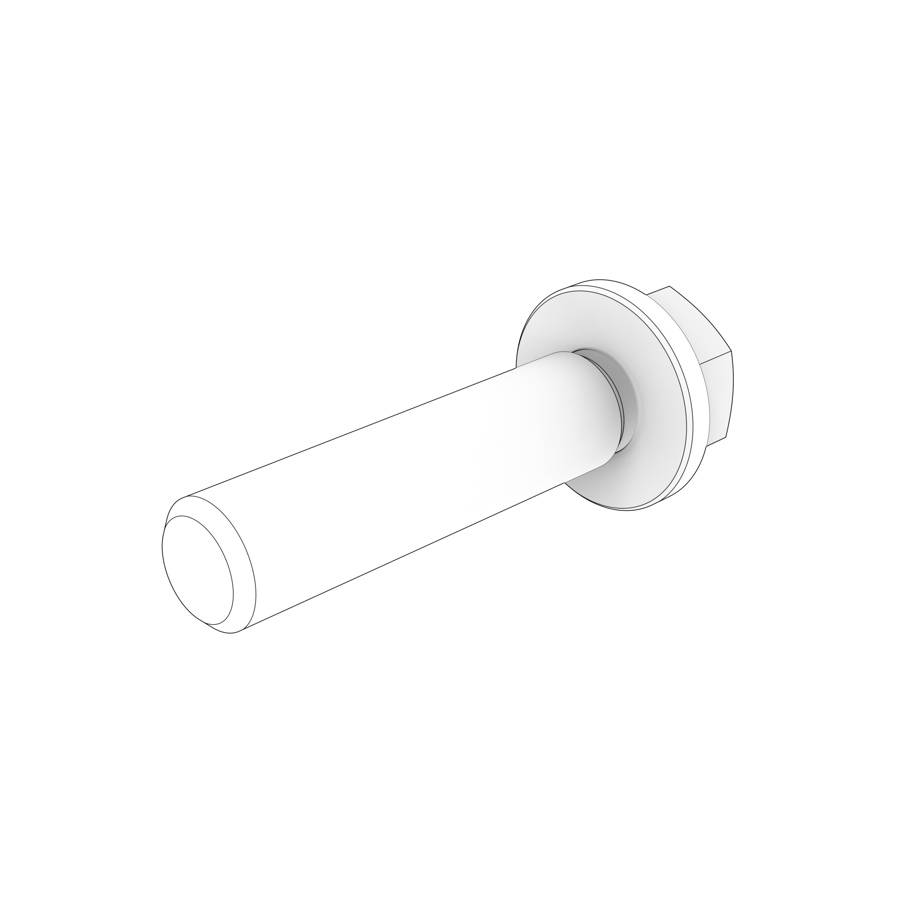 PB-FLANGE SCREW