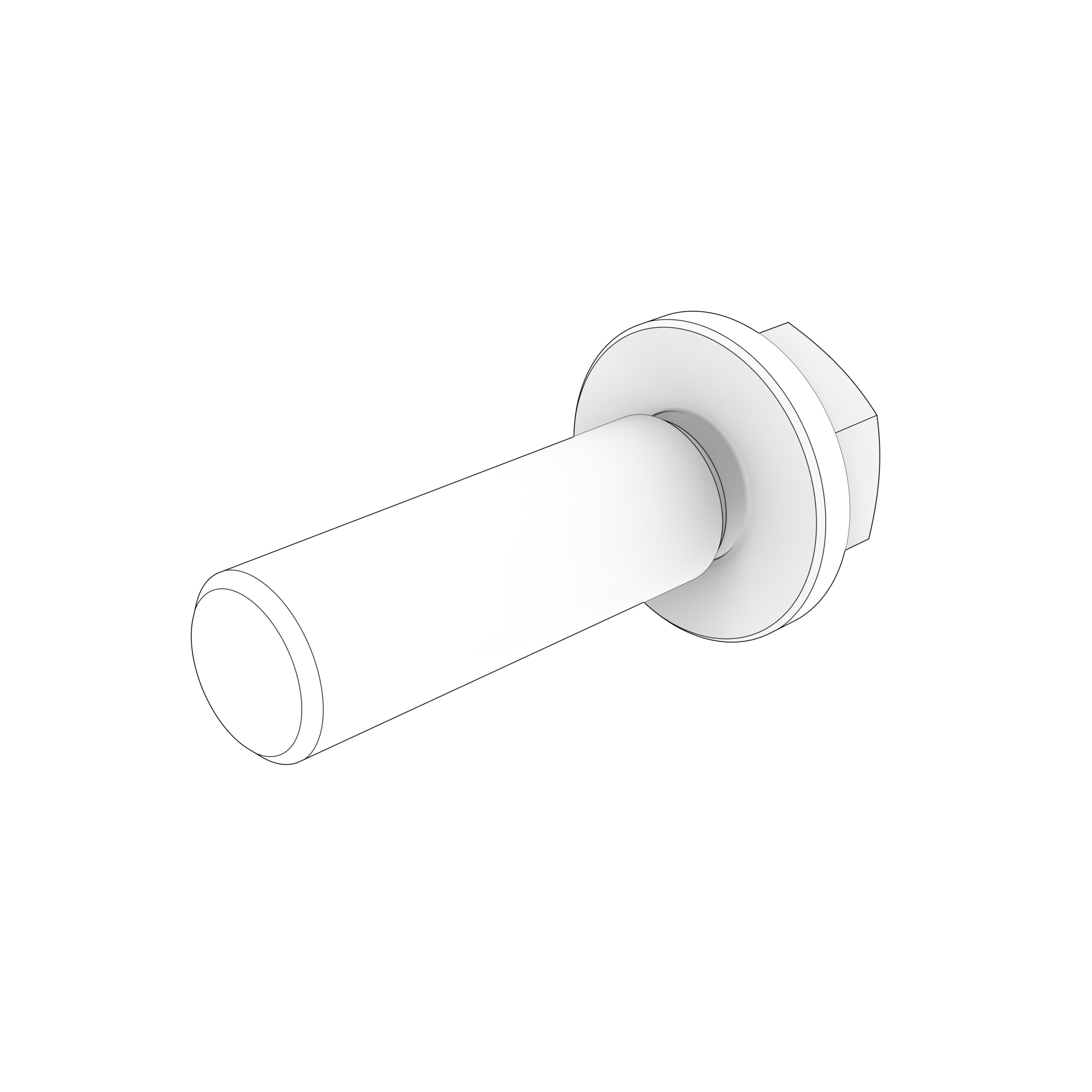 PB-FLANGE SCREW