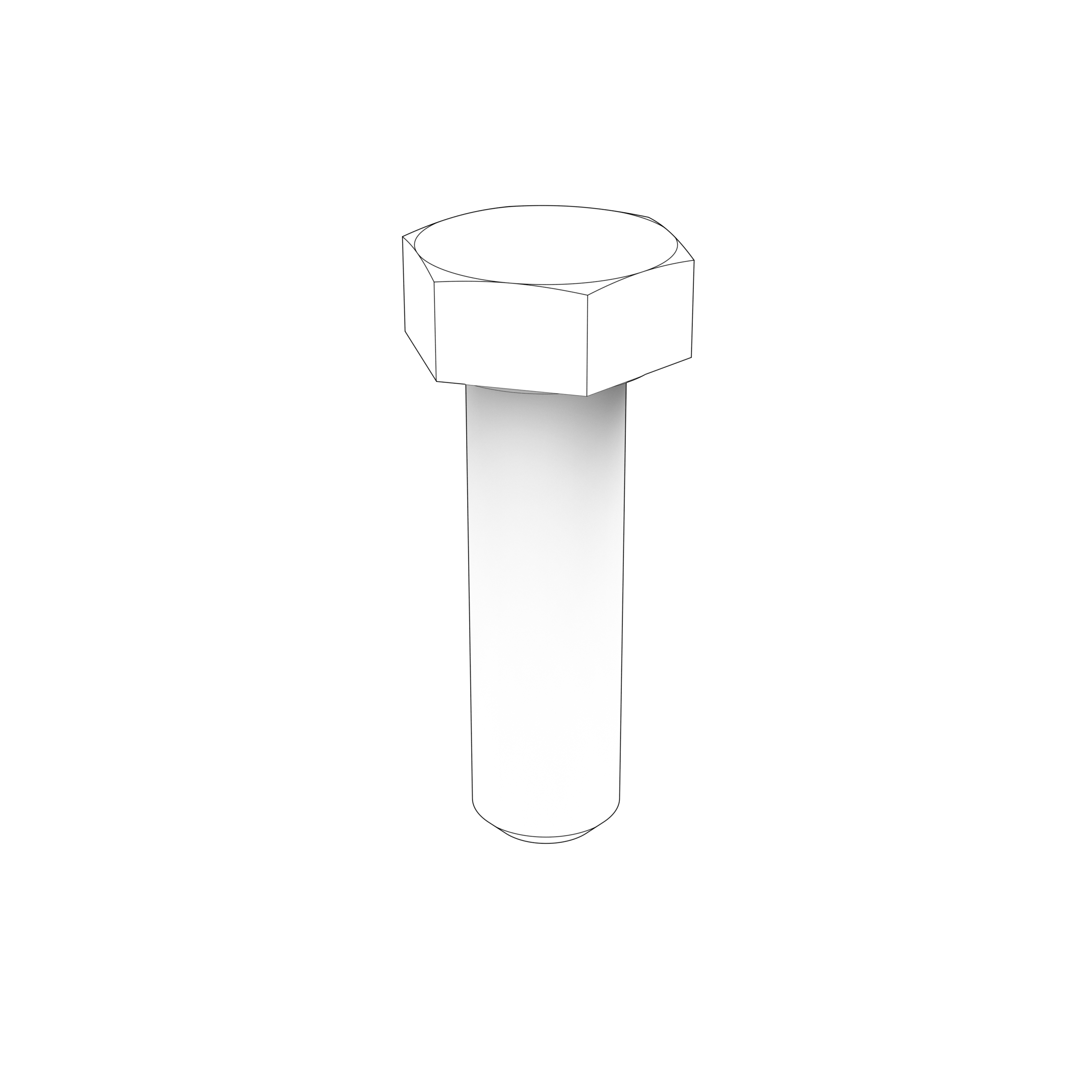 HEXAGON SCREW HEXAGON SCREW