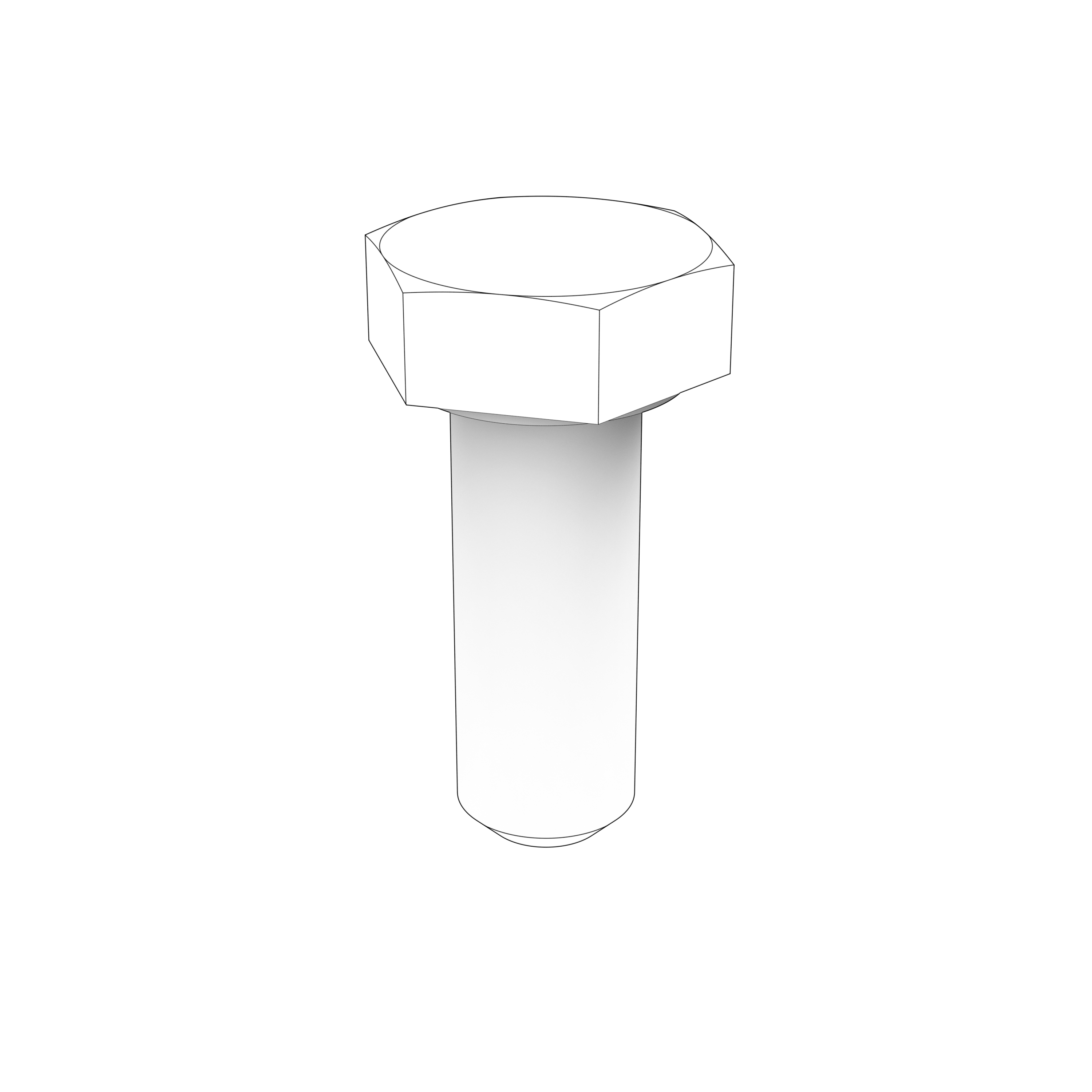 HEXAGON SCREW HEXAGON SCREW