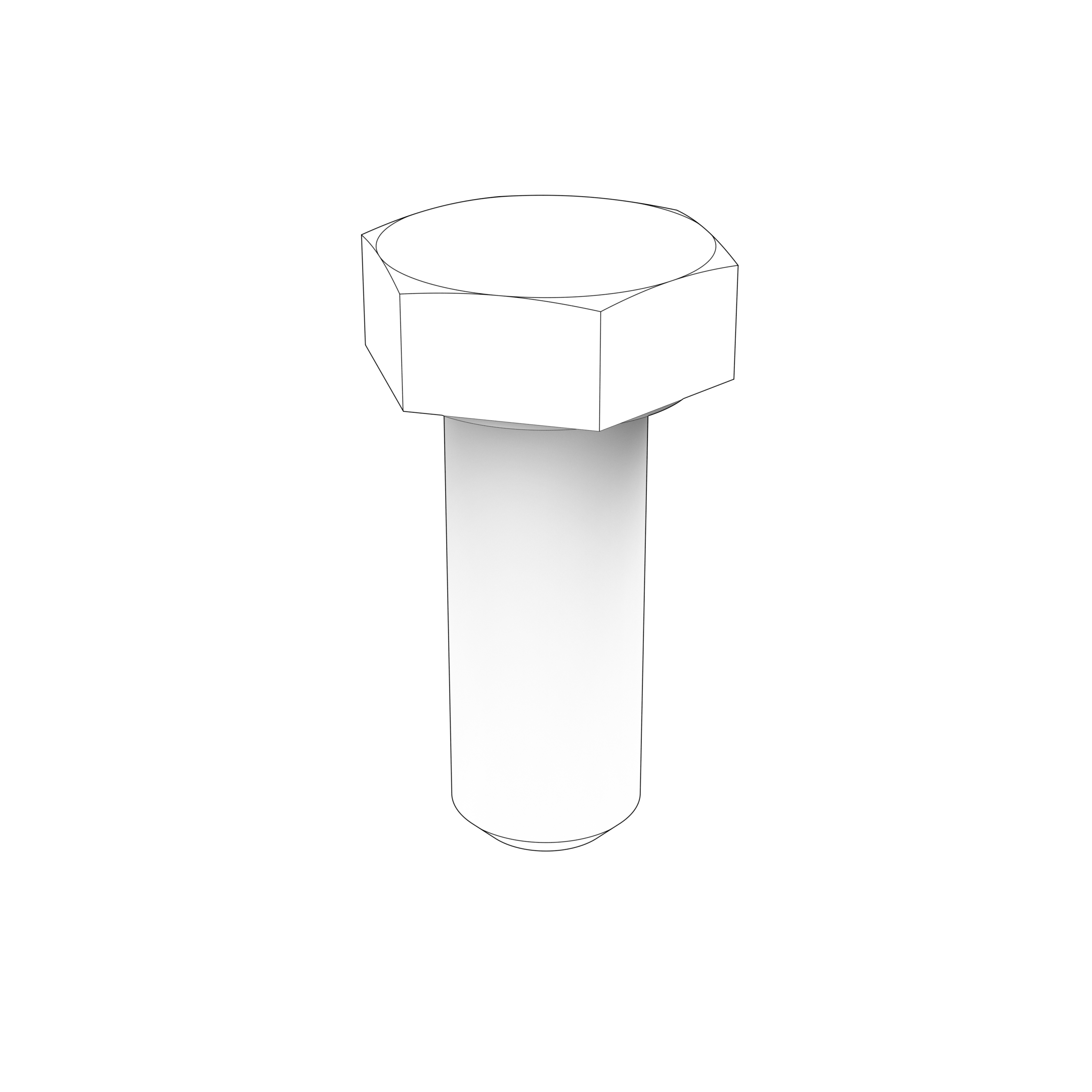 HEXAGON SCREW HEXAGON SCREW