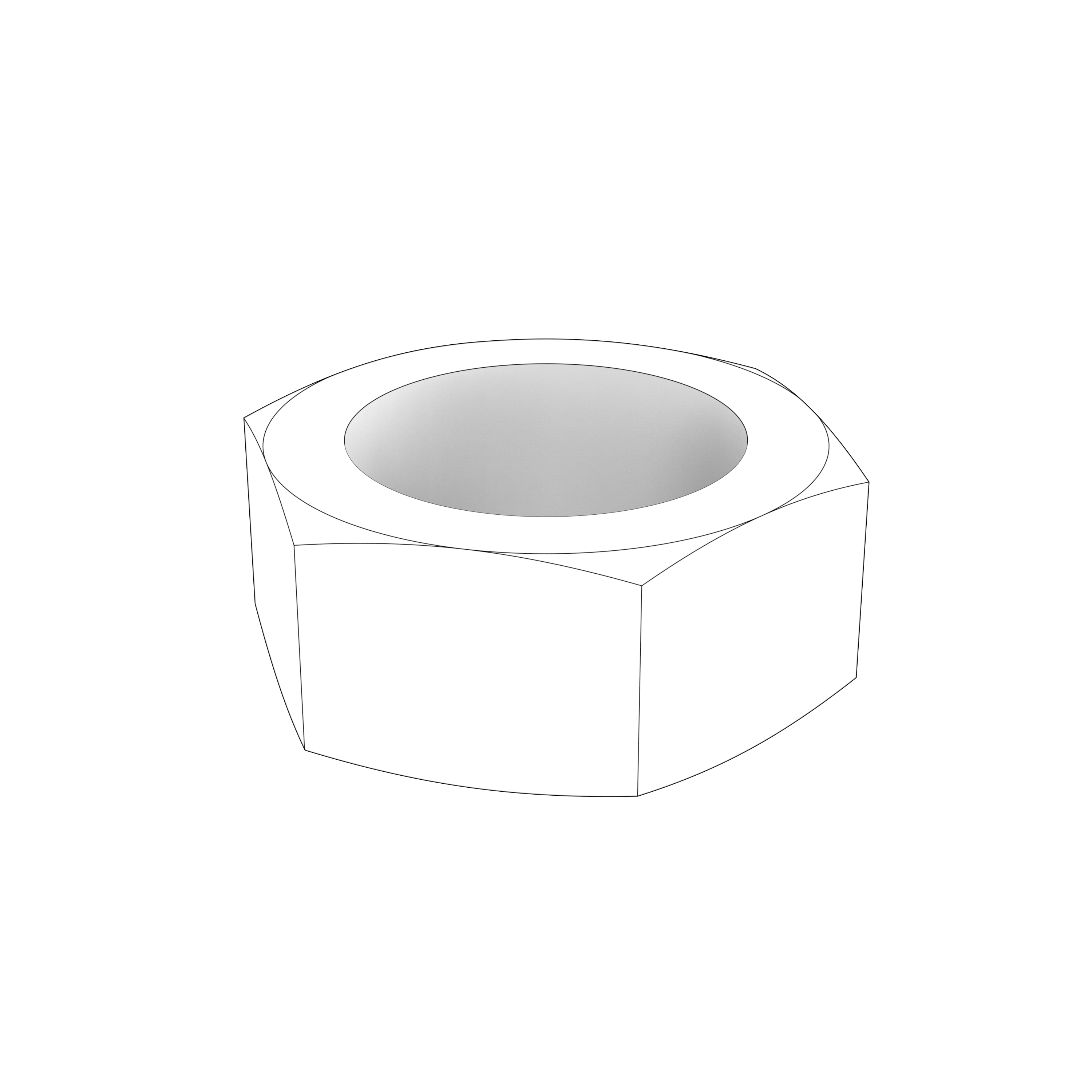 HEXAGON NUT HEXAGON NUT