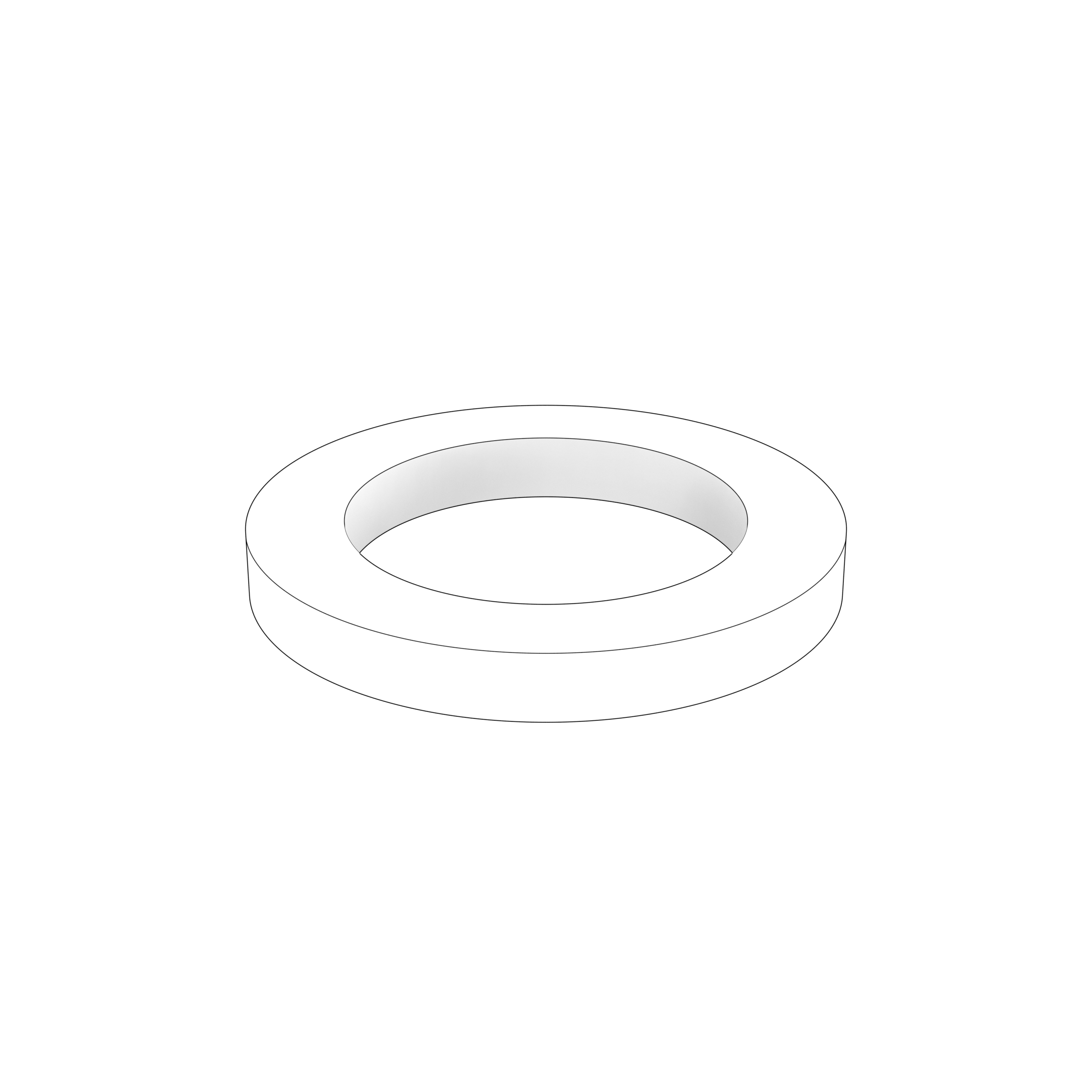 LOCK WASHER