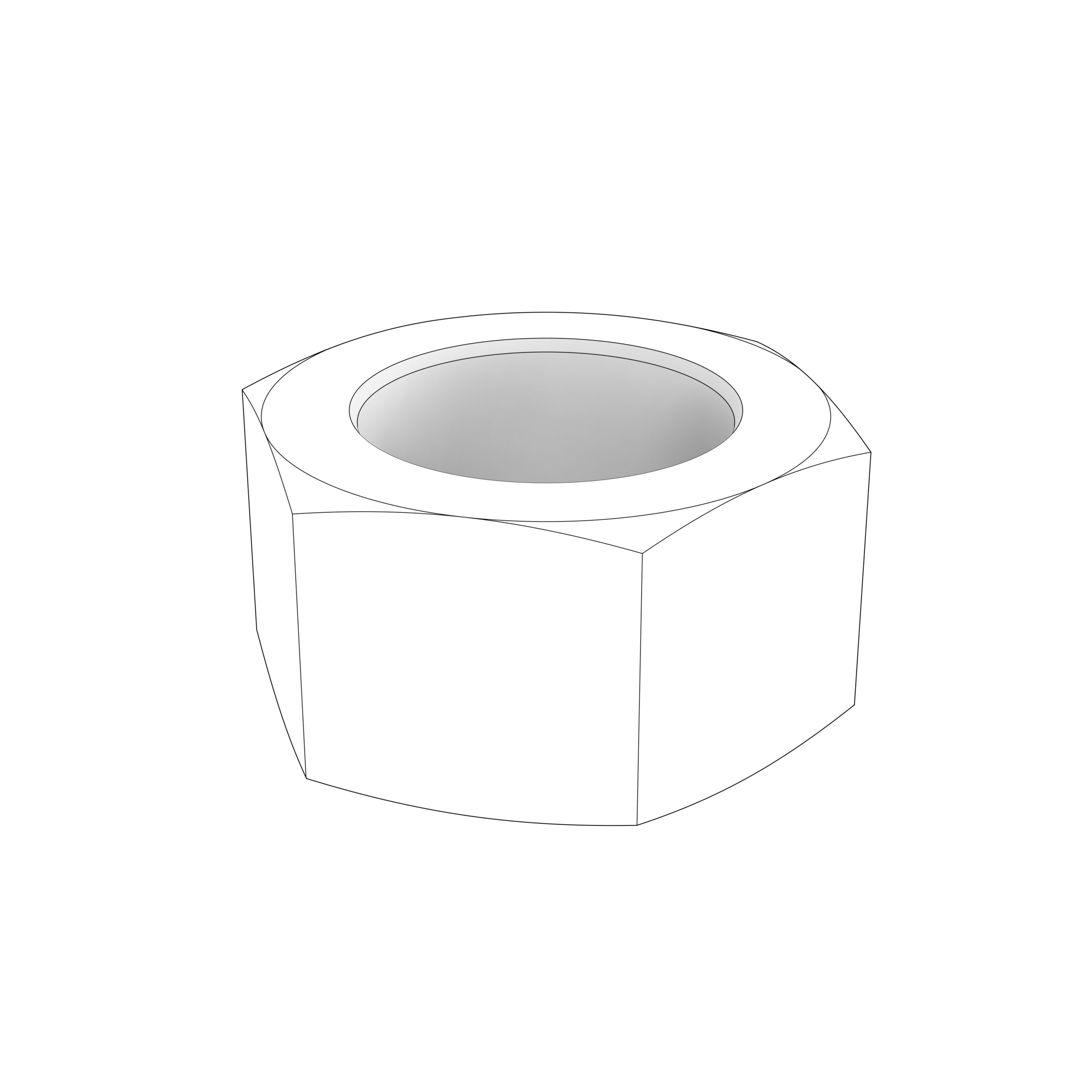 HEXAGON NUT HEXAGON NUT