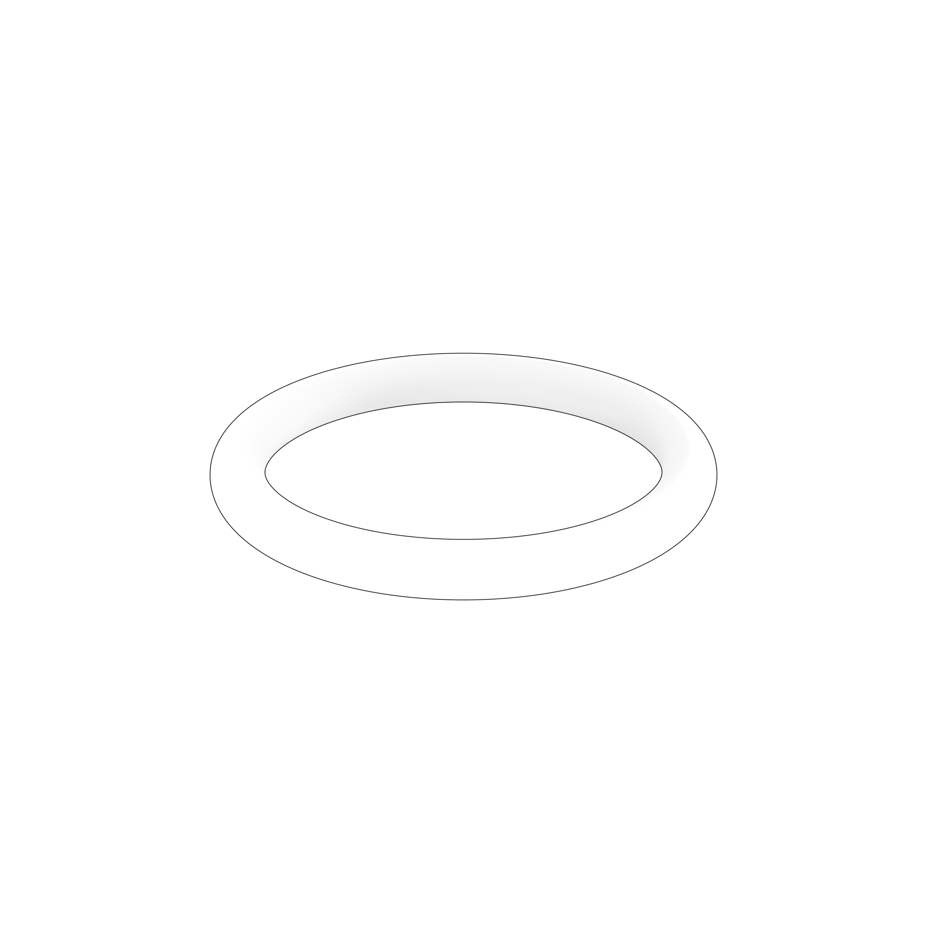 RUBBER RING