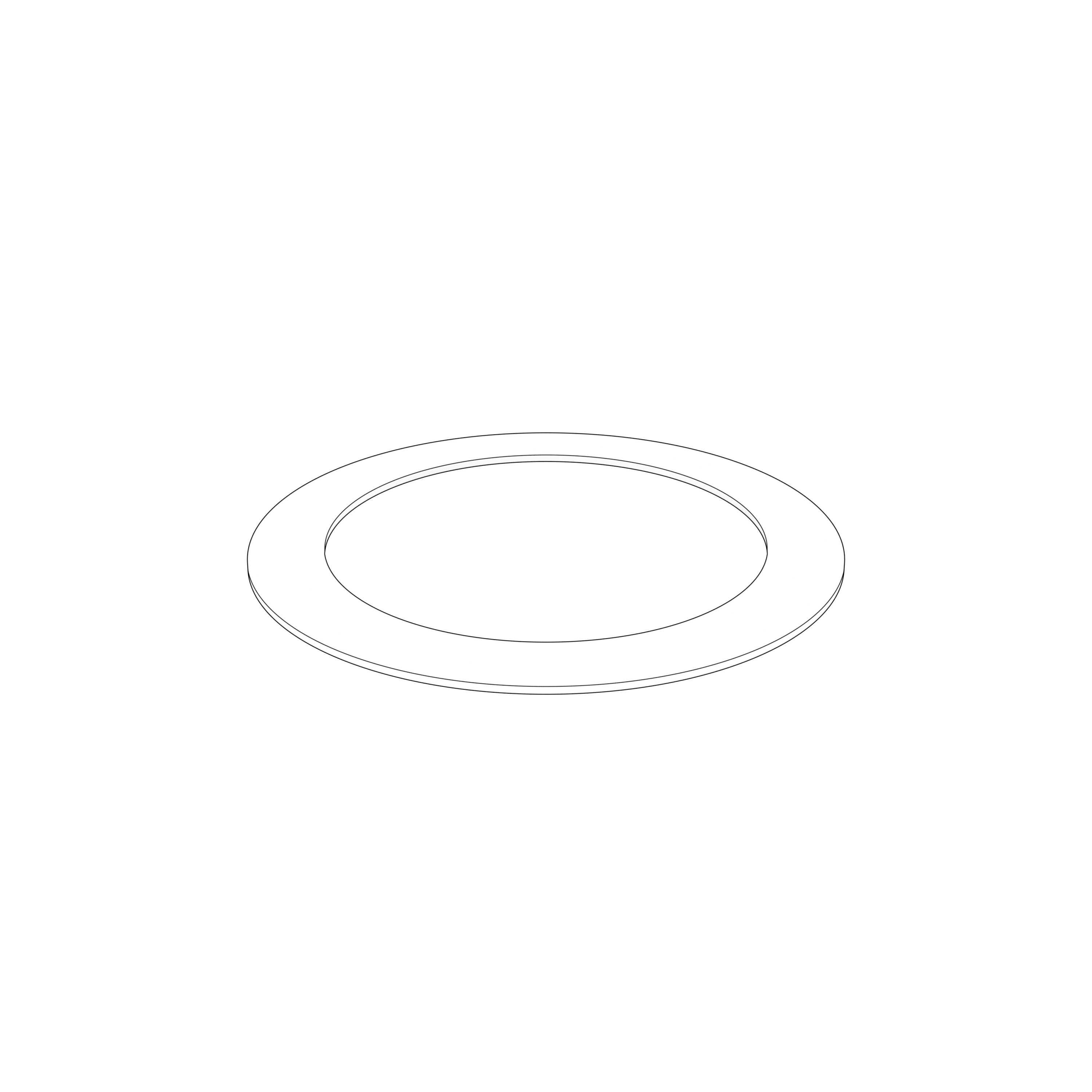 DISC SPRING DISC SPRING