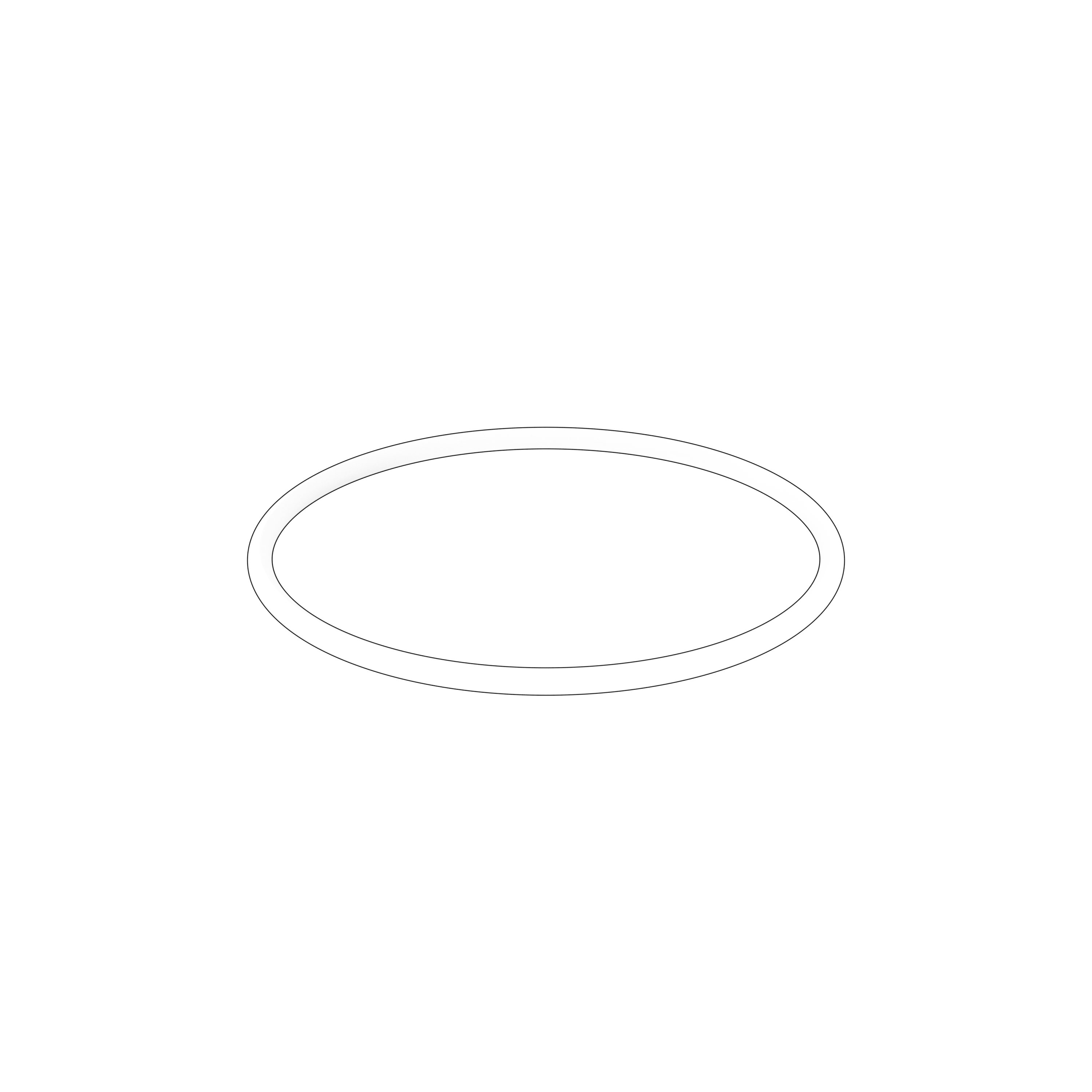 O-ring