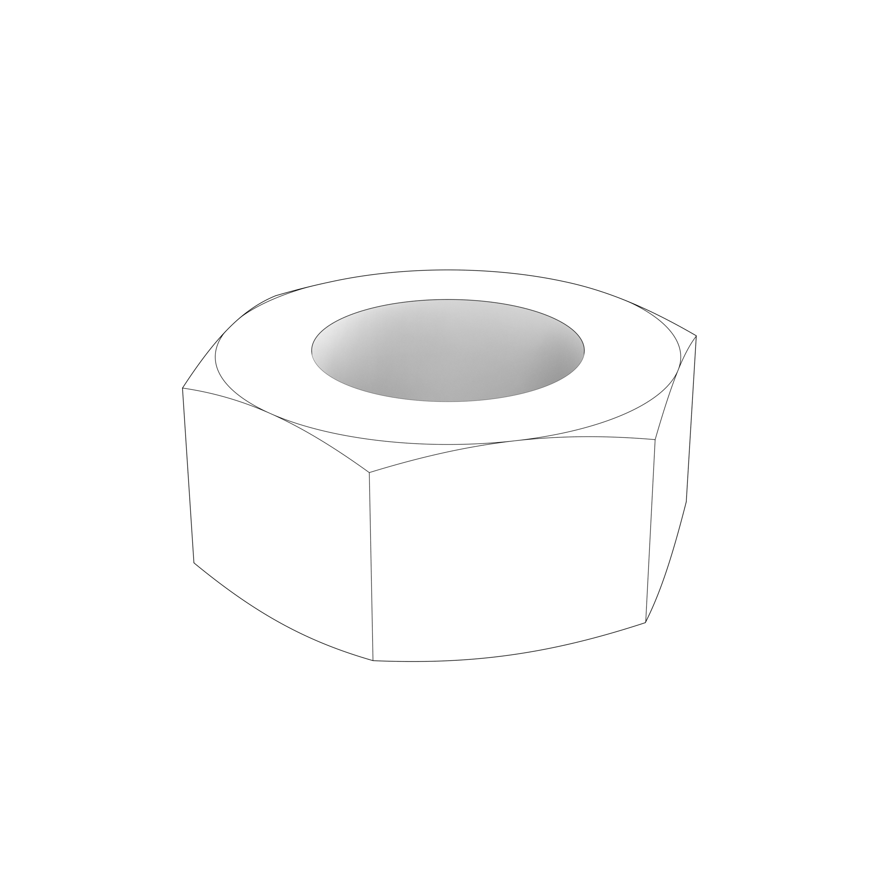 HEXAGON NUT