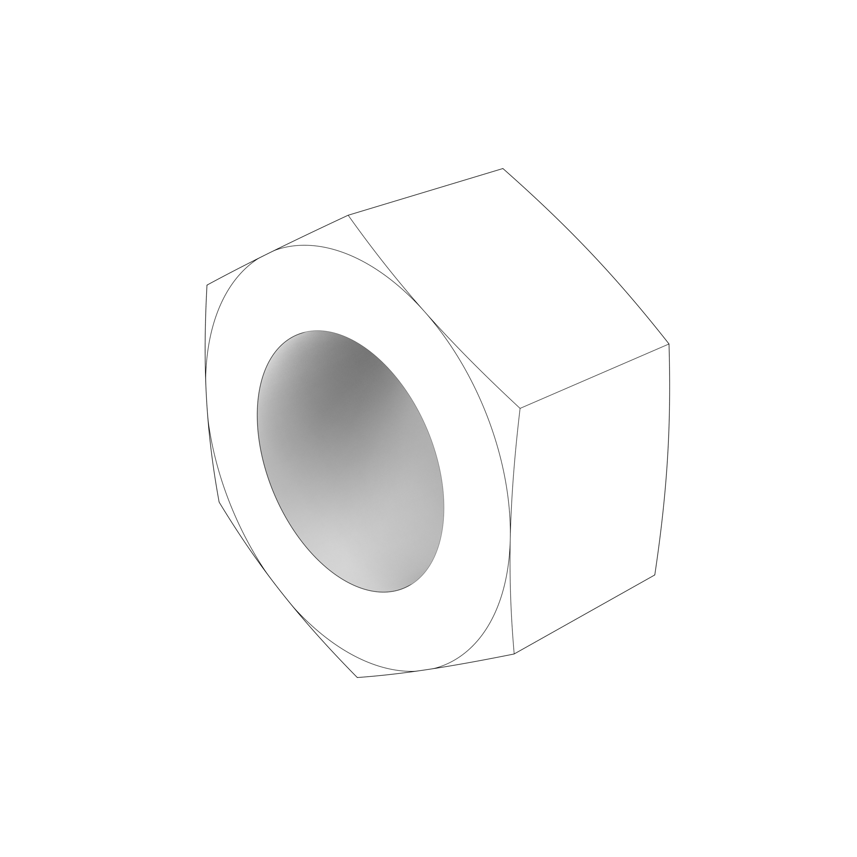 HEXAGON NUT HEXAGON NUT