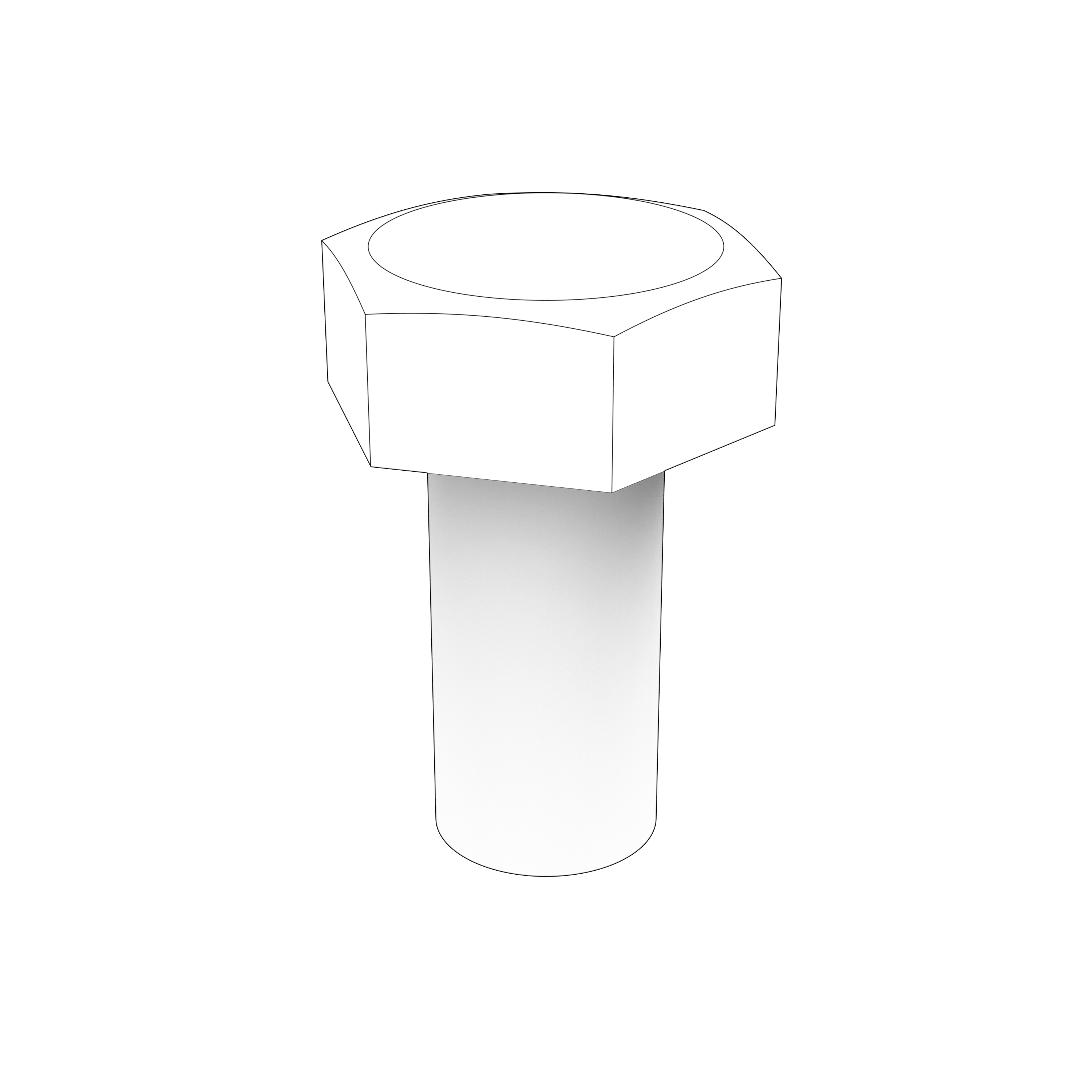 HEXAGON SCREW