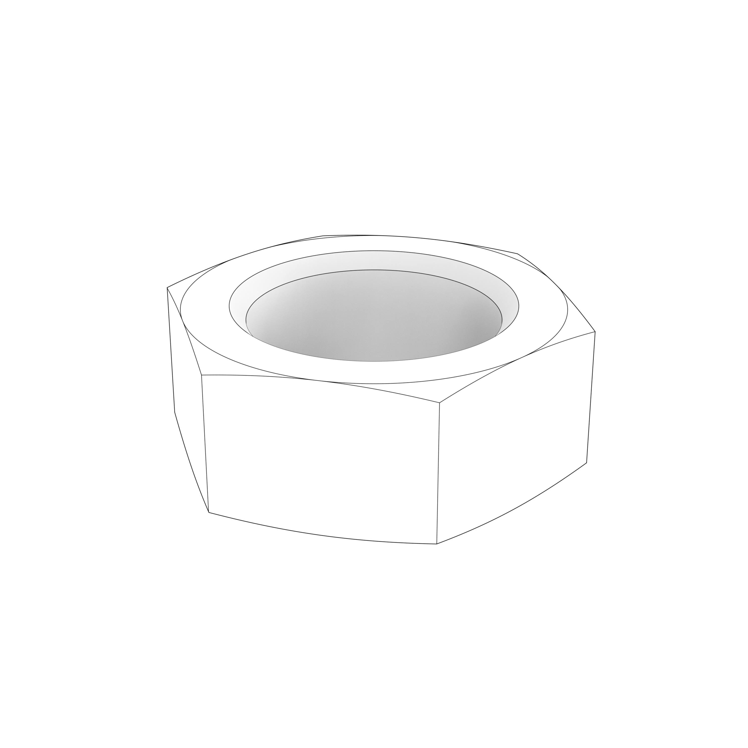 HEXAGON NUT HEXAGON NUT