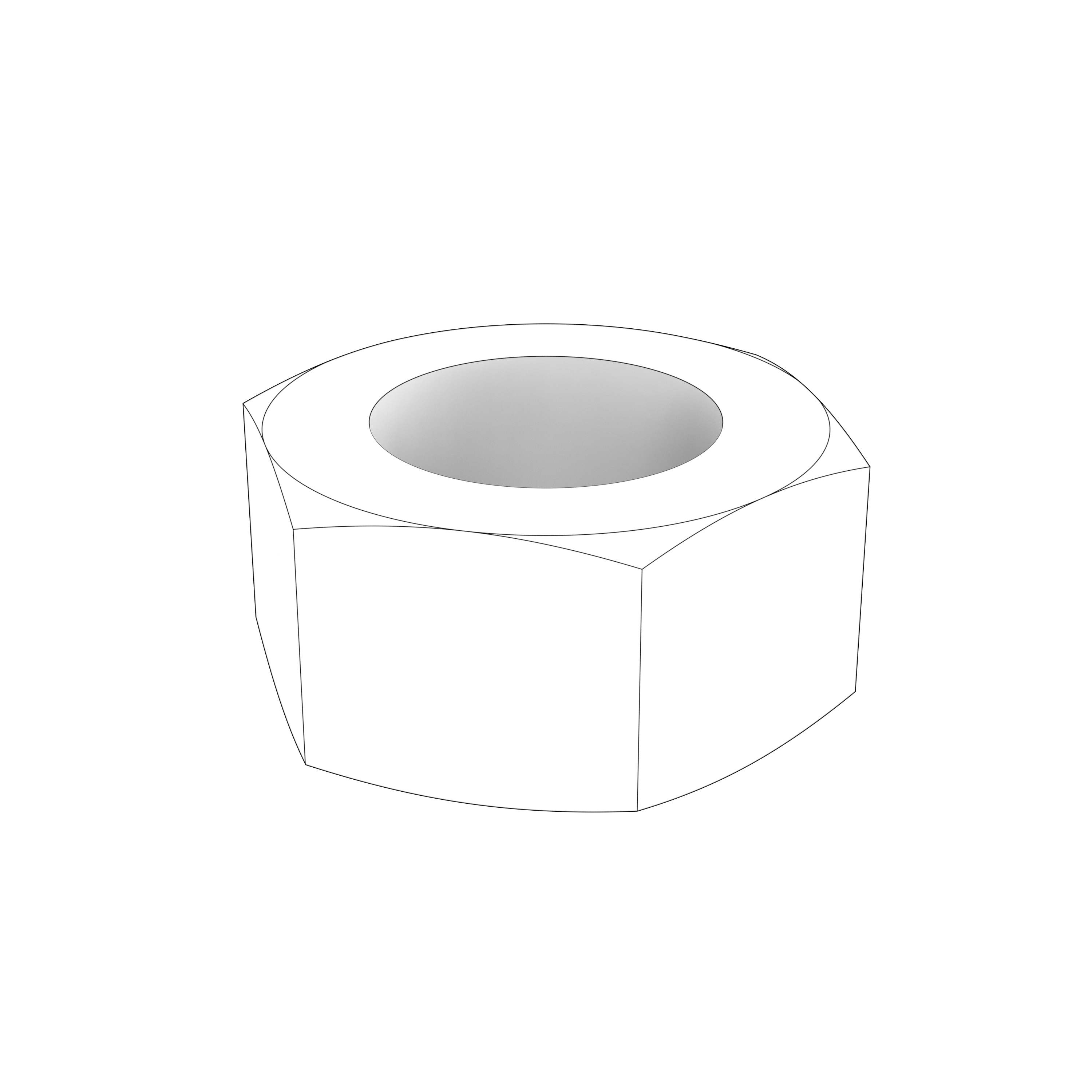 HEXAGON NUT