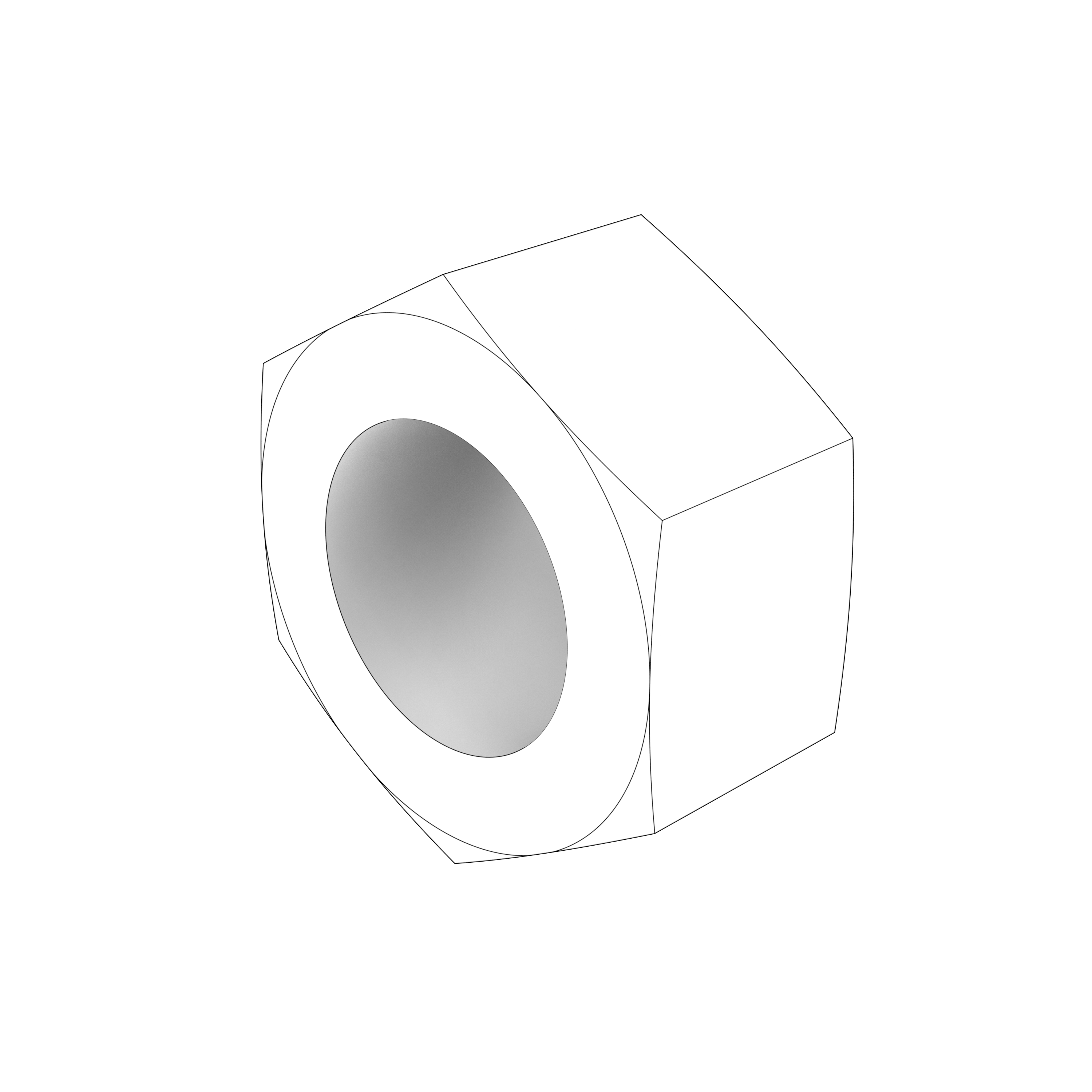 HEXAGON NUT