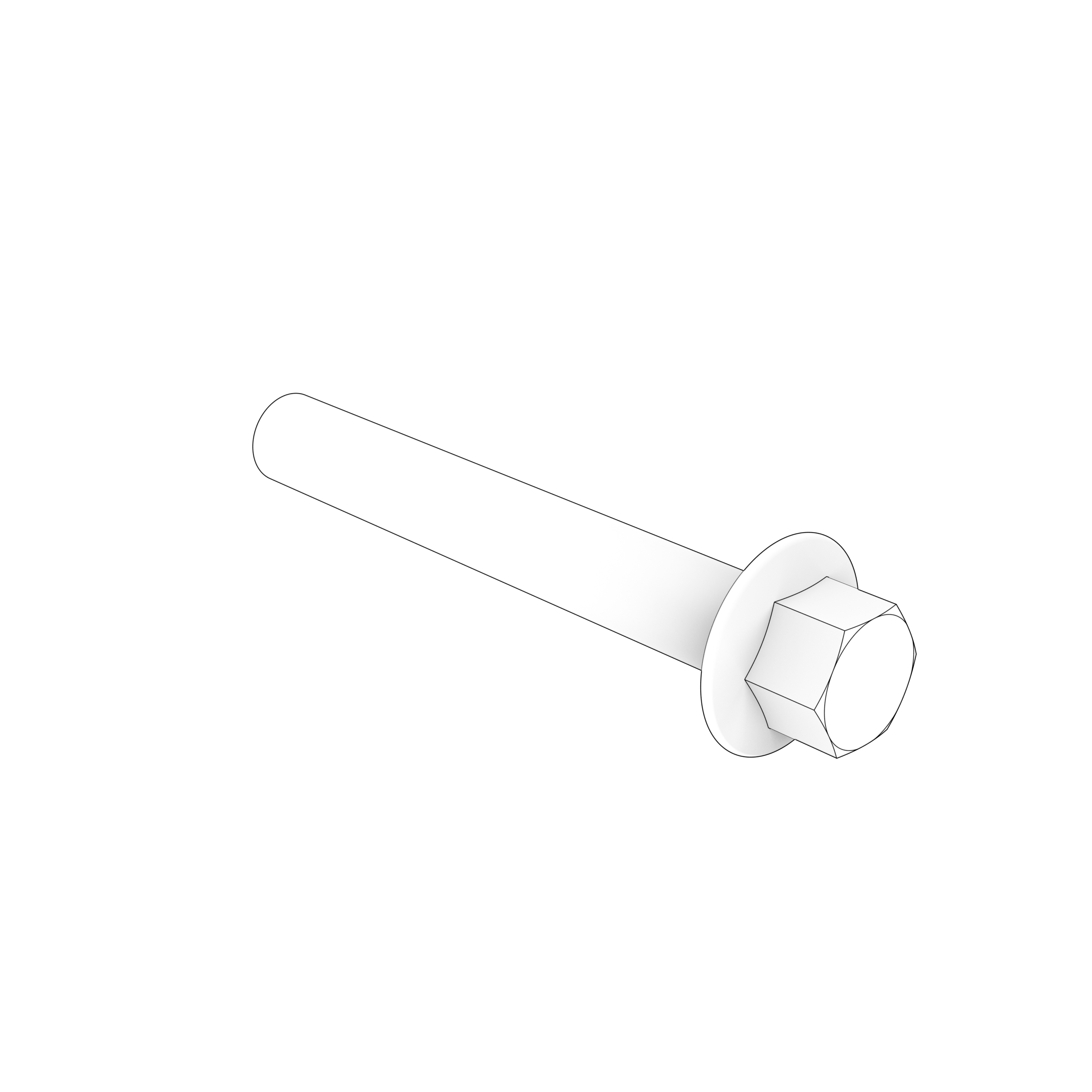 FLANGE SCREW