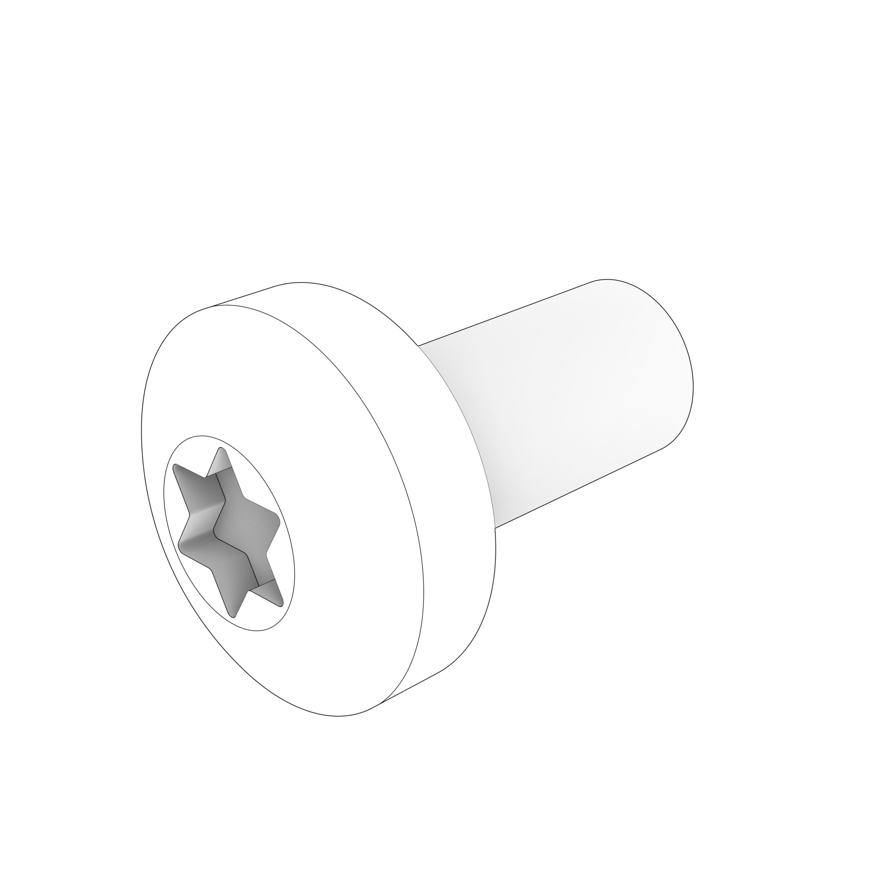 SIX POINT SOCKET SCREW SIX POINT SOCKET SCREW