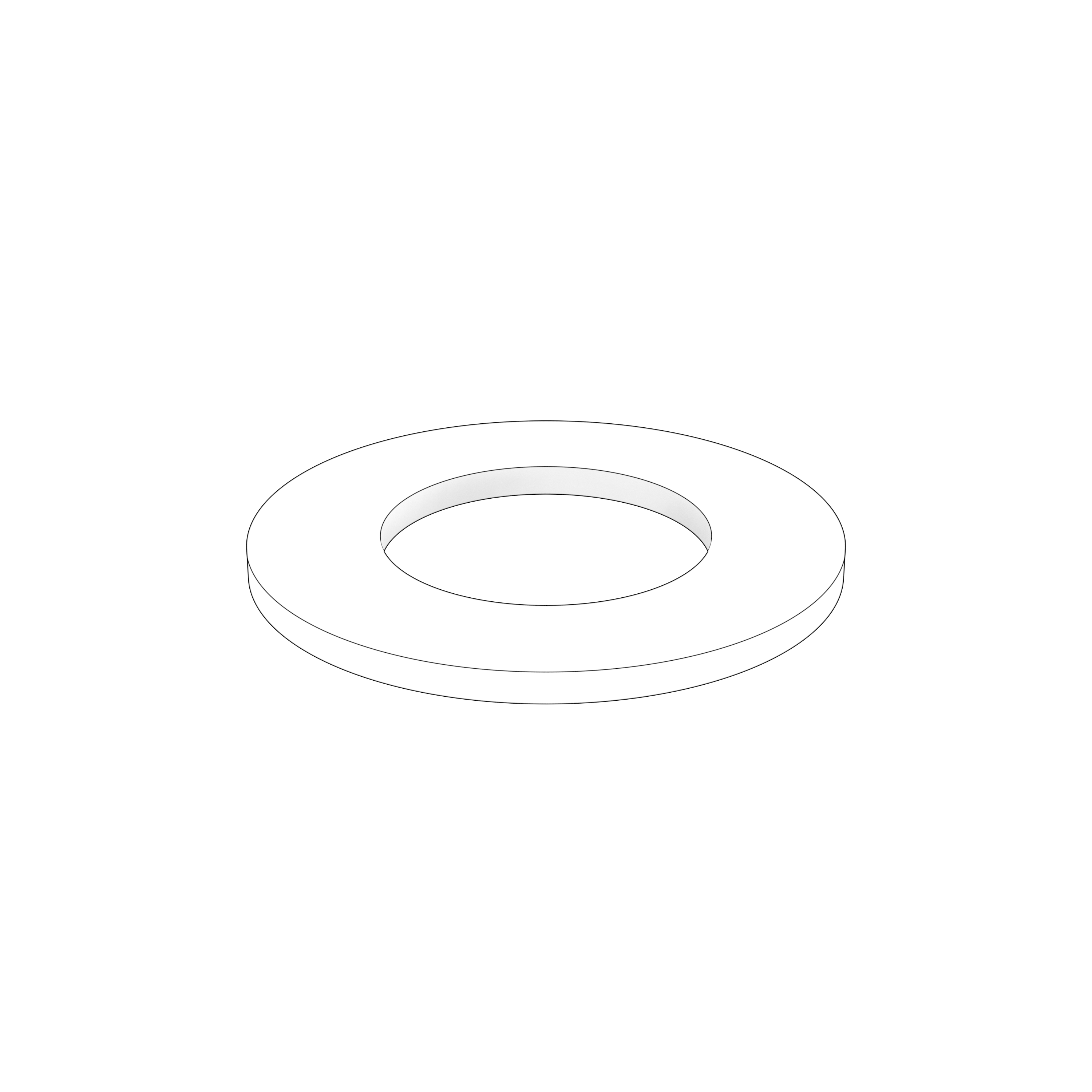 SPRING WASHER
